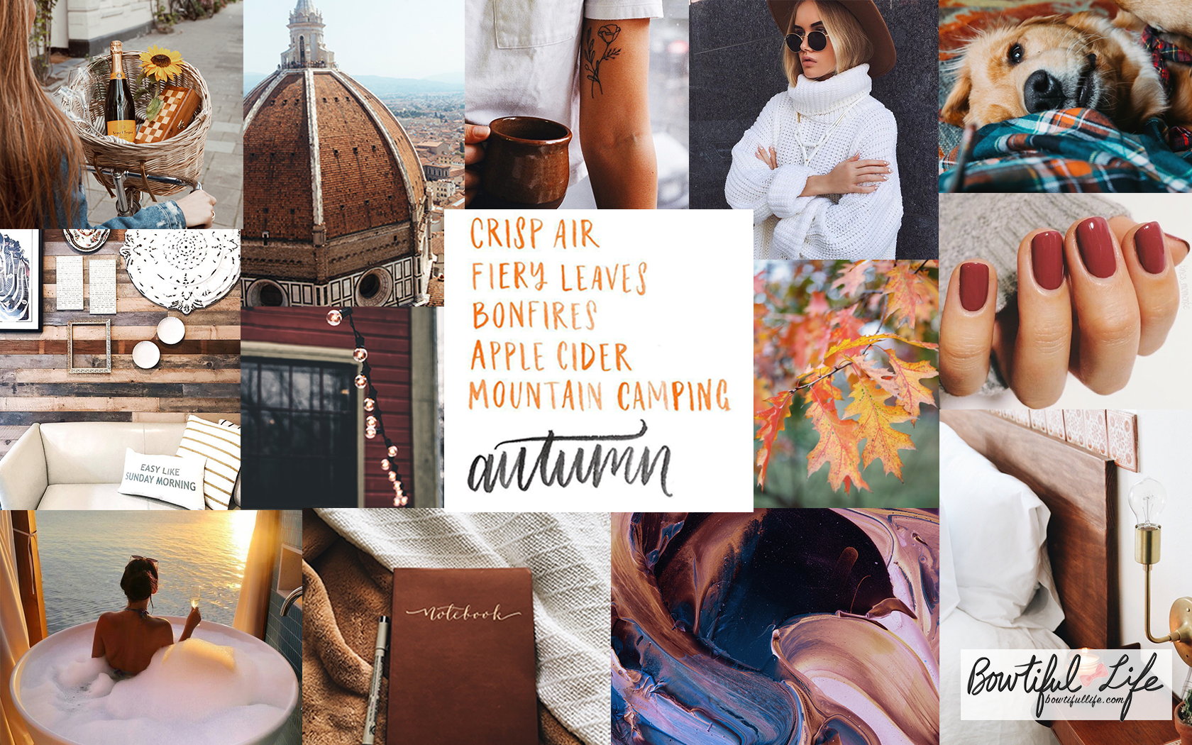Apple Cider Bowtiful Wallpaper