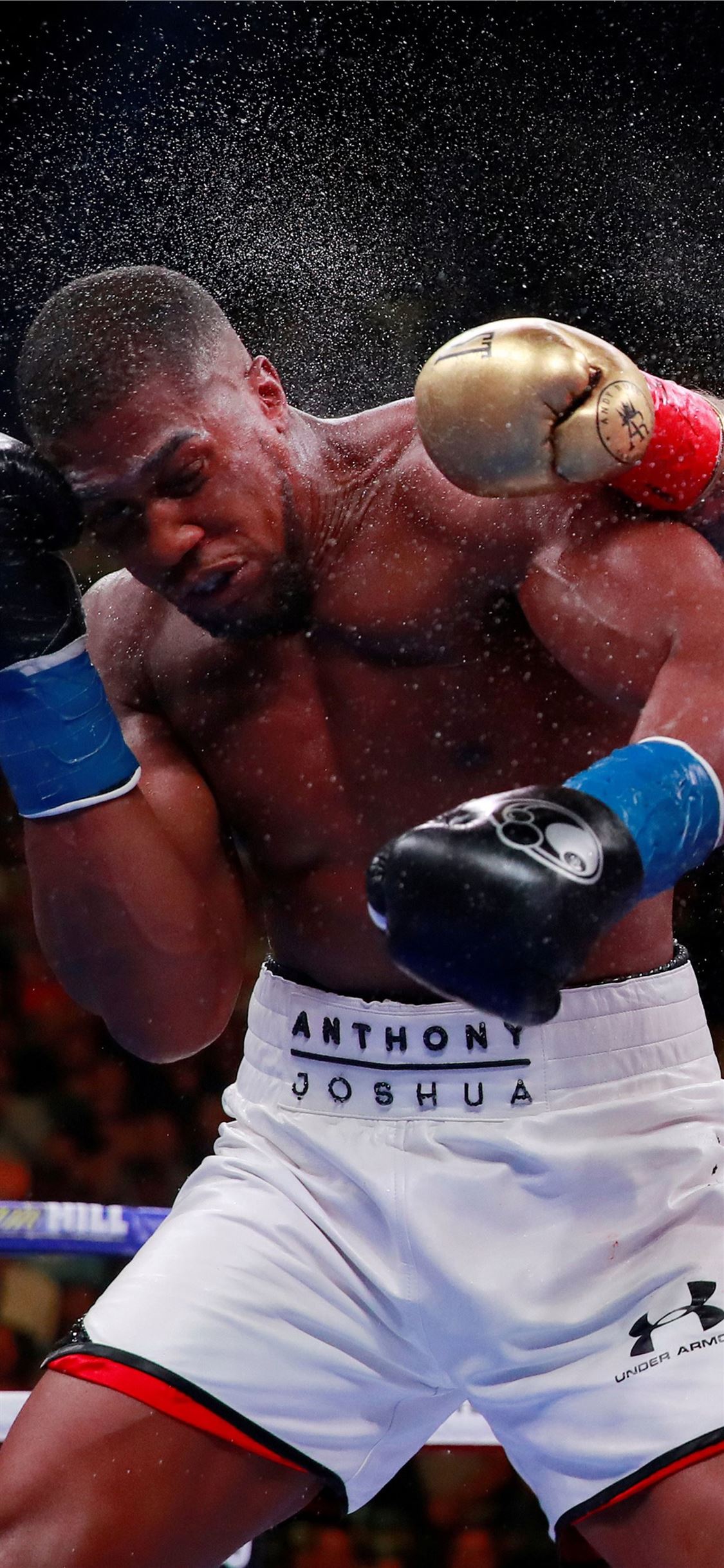 Best Boxing celebrity iPhone X HD Wallpaper