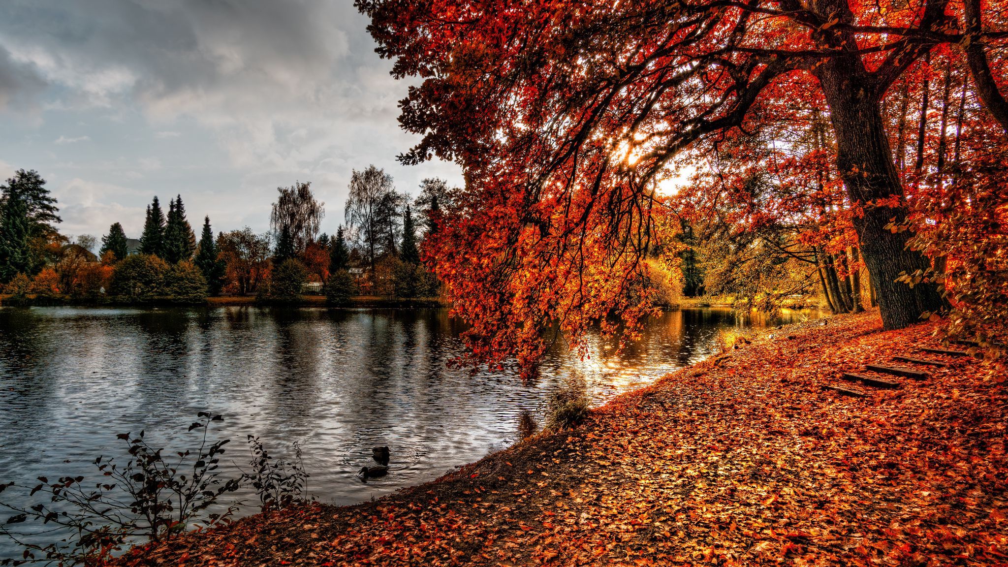 Download wallpaper 2048x1152 autumn, park, foliage, lake ultrawide monitor HD background