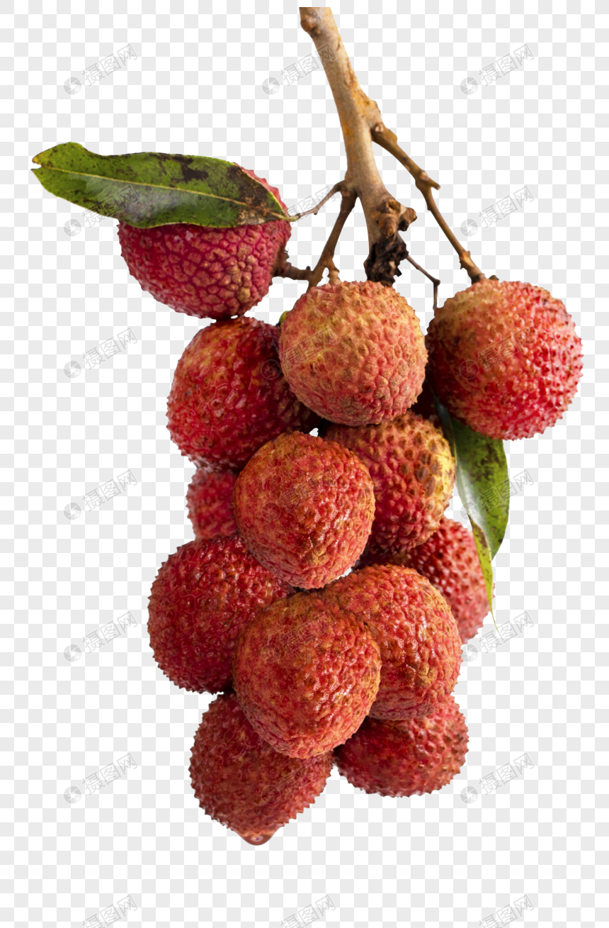 Litchi png image_picture free download 400305491_lovepik.com