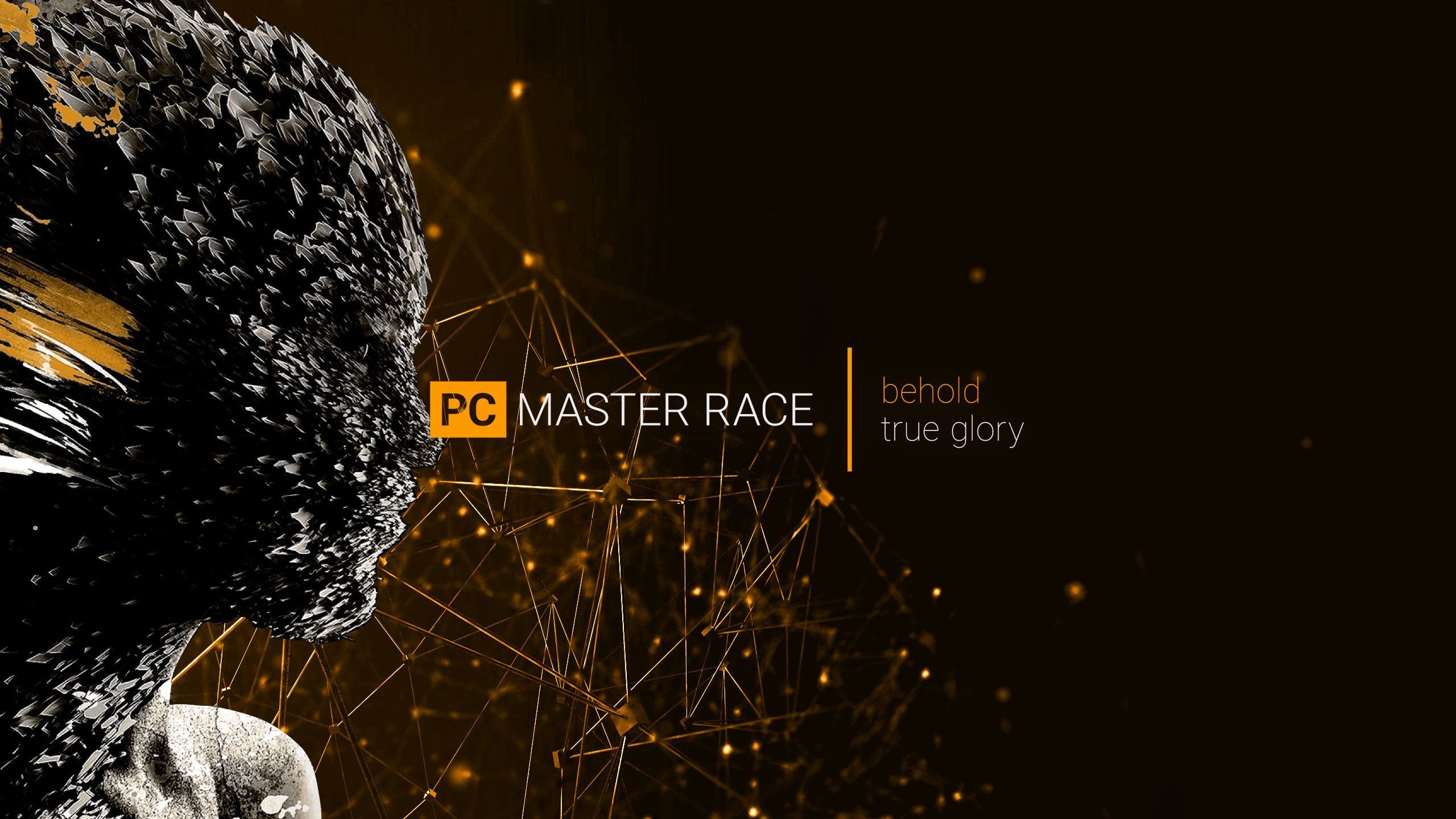 Pc Master Race Wallpaper Free Pc Master Race Background