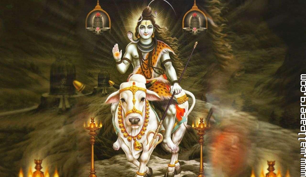 Download Shiva nandi wallpaper for your mobile cell phone