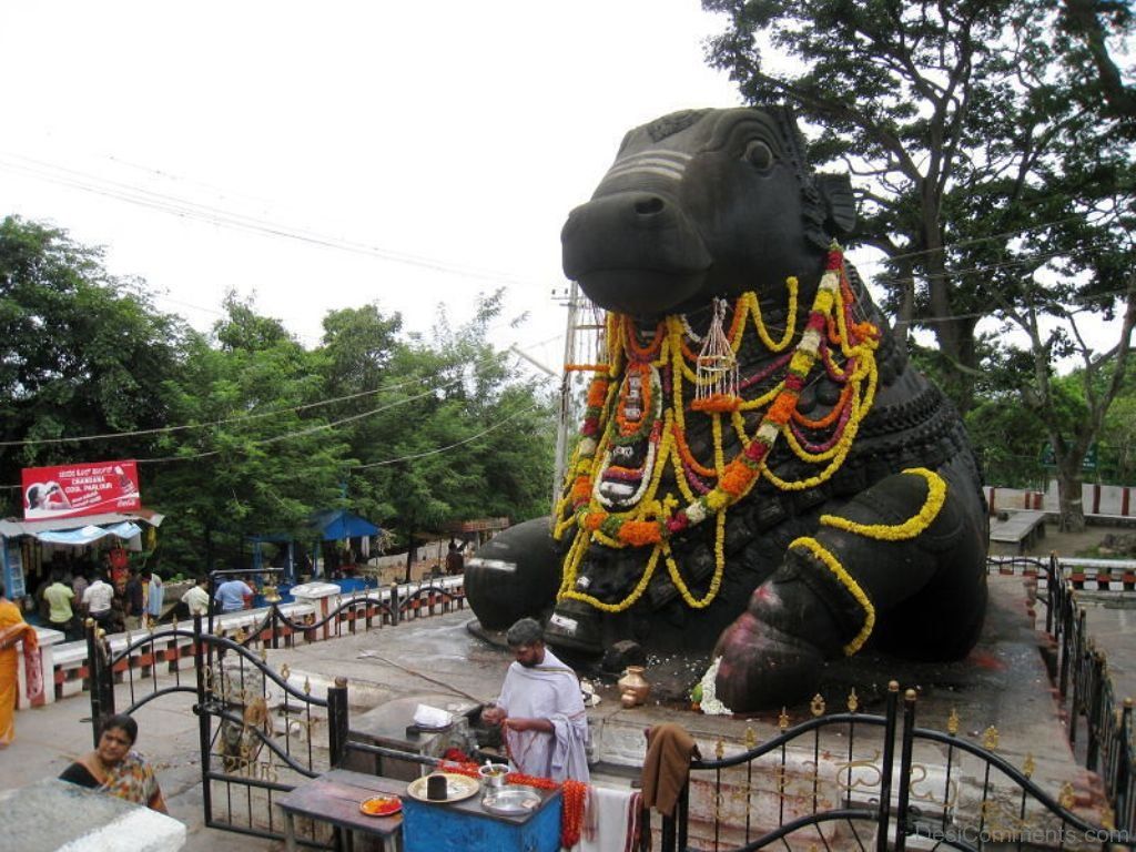 Side View Of Nandi Statue At Chamundeshwari Temple