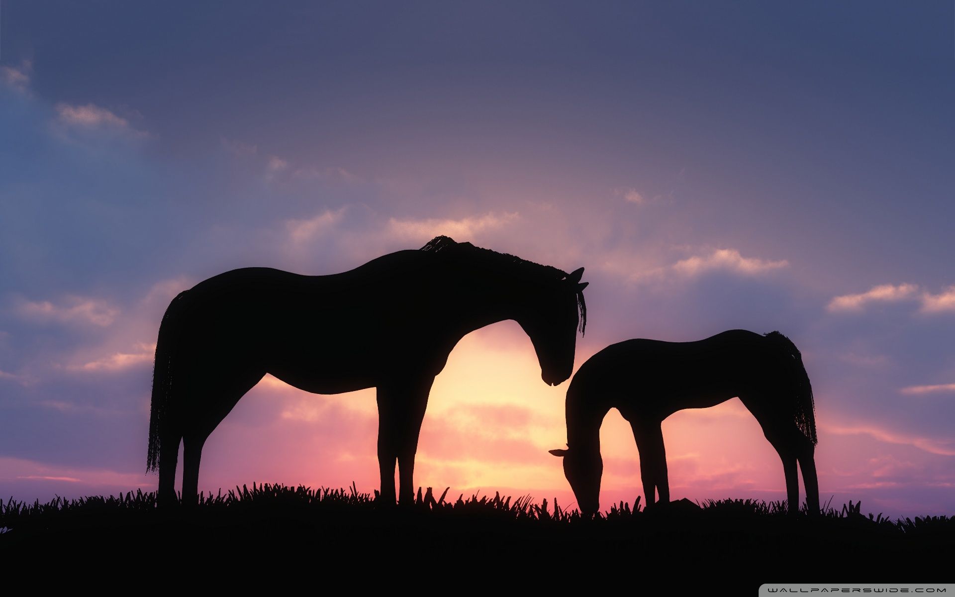Horses Sunset Silhouette Ultra HD Desktop Background Wallpaper for 4K UHD TV, Multi Display, Dual Monitor, Tablet