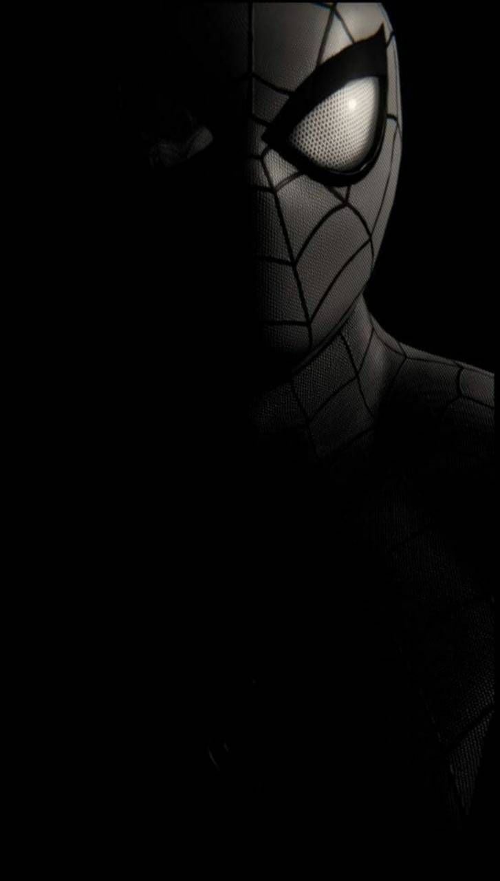 Dark Spiderman wallpaper