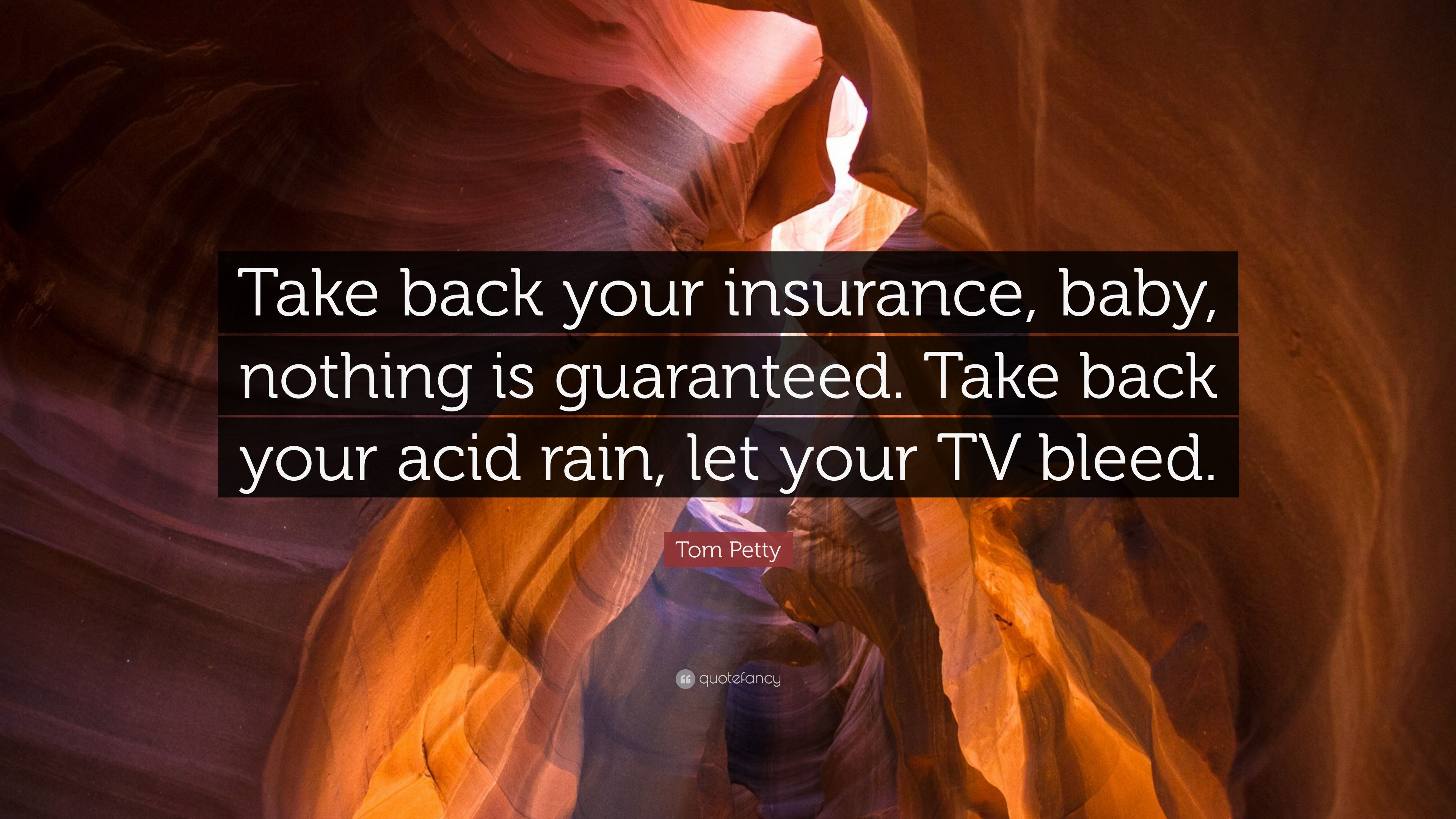 Tom Petty Quote: “Take back your insurance, baby, nothing is guaranteed. Take back your acid rain, let your TV bleed.” (7 wallpaper)