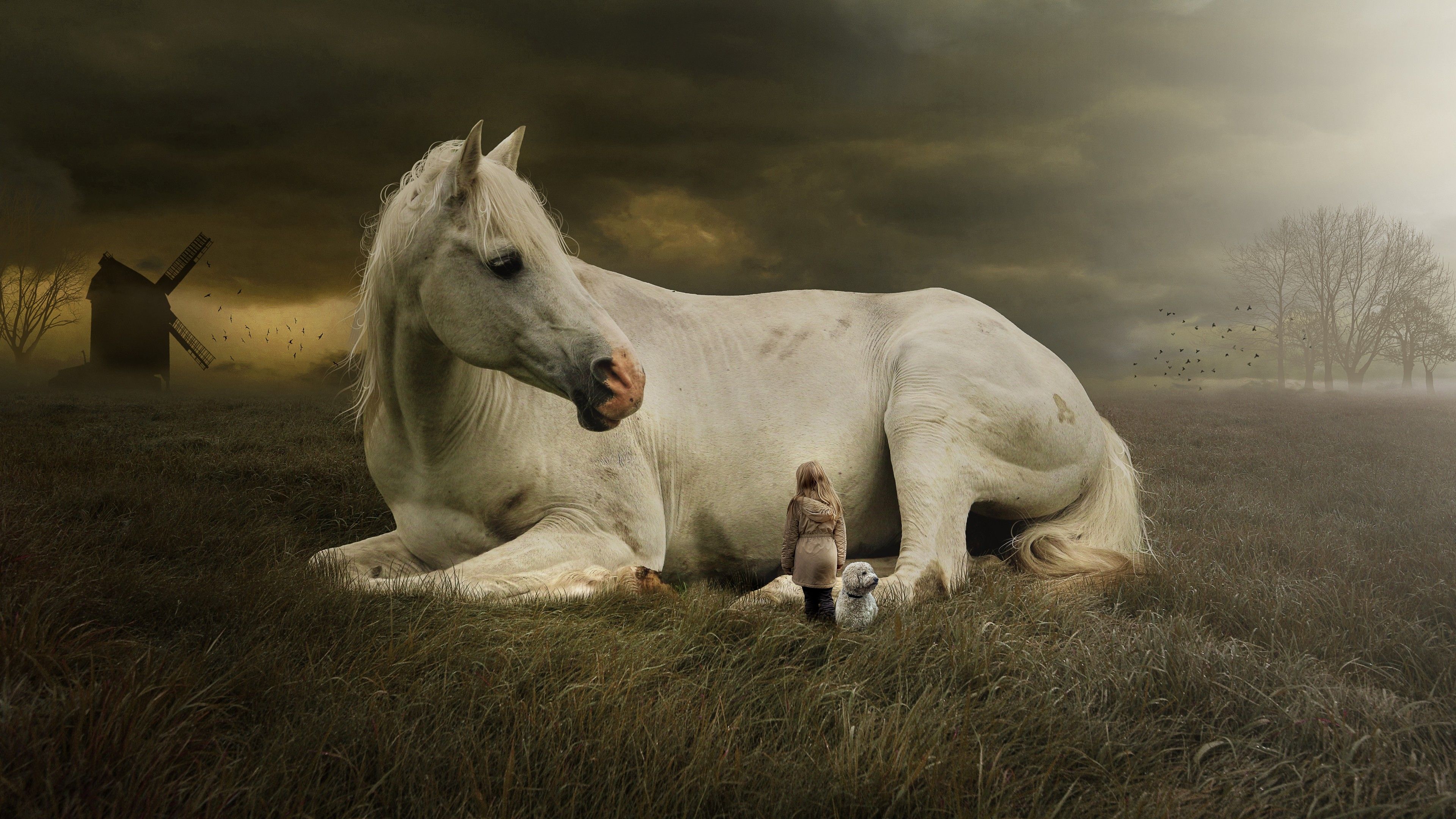 Wallpaper White horse, Cute girl, Cute dog, Landscape, Dream, 5K, Animals,. Wallpaper for iPhone, Android, Mobile and Desktop