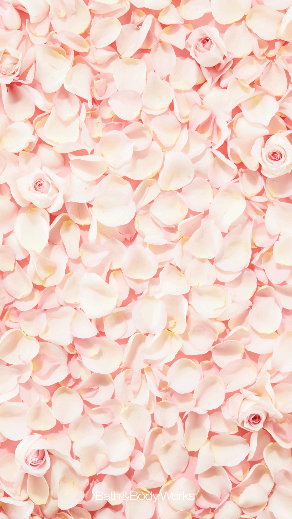 Rose Petals iPhone Wallpaper Background. Teal wallpaper iphone, Color wallpaper iphone, Teal flower wallpaper
