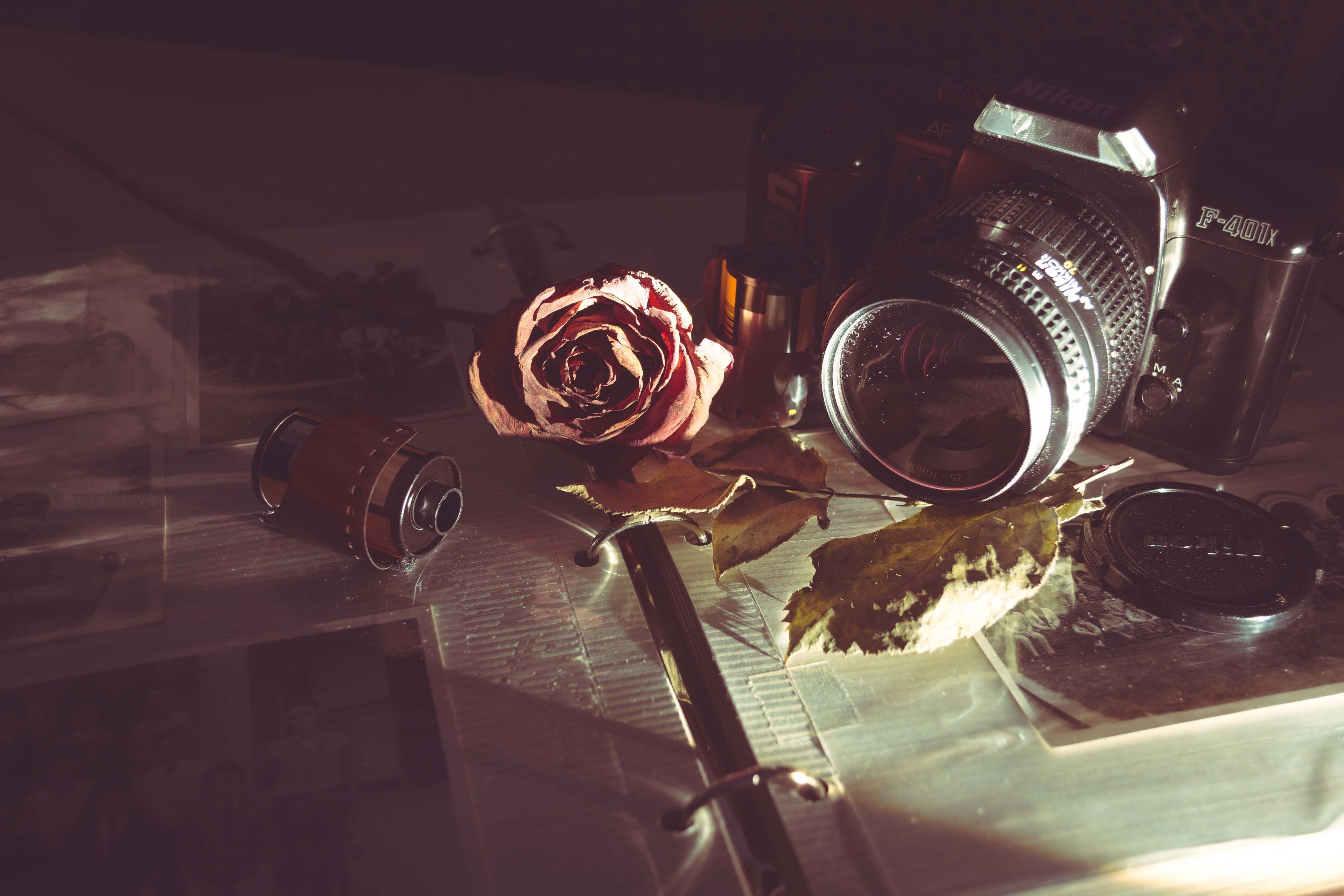 Wallpaper / vintage camera old and retro HD 4k wallpaper