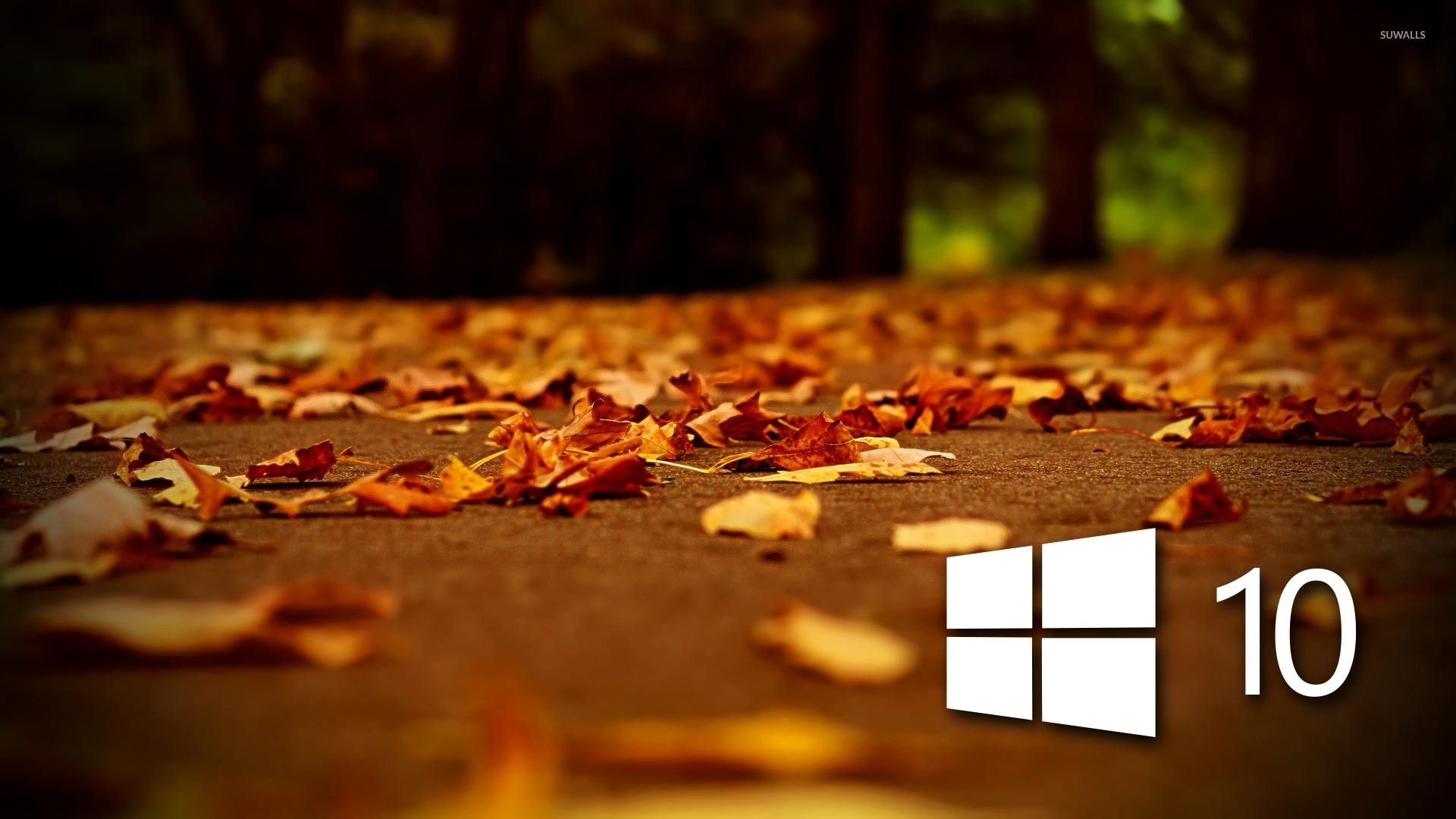 Windows 10 on autumn leaves [4] wallpaper wallpaper
