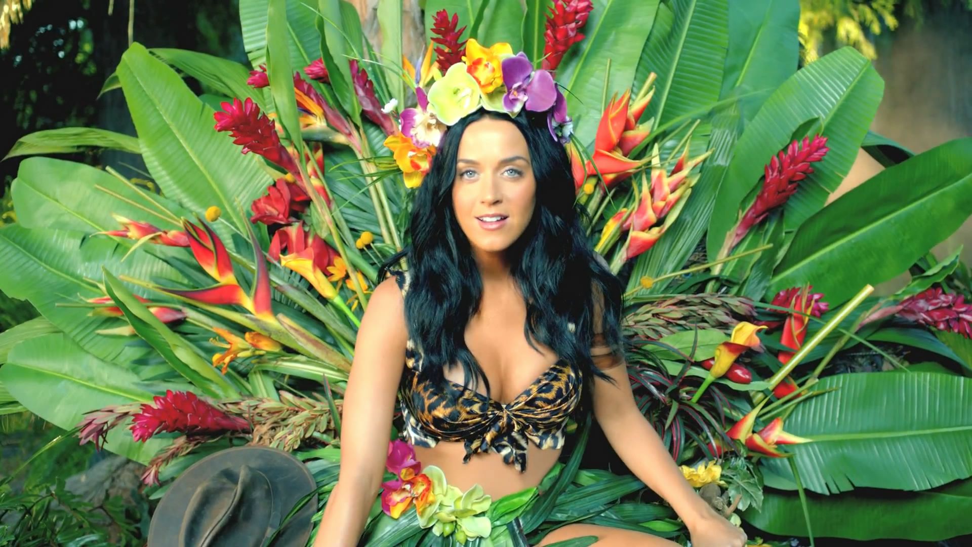 Katy Perry Roar Wallpaper