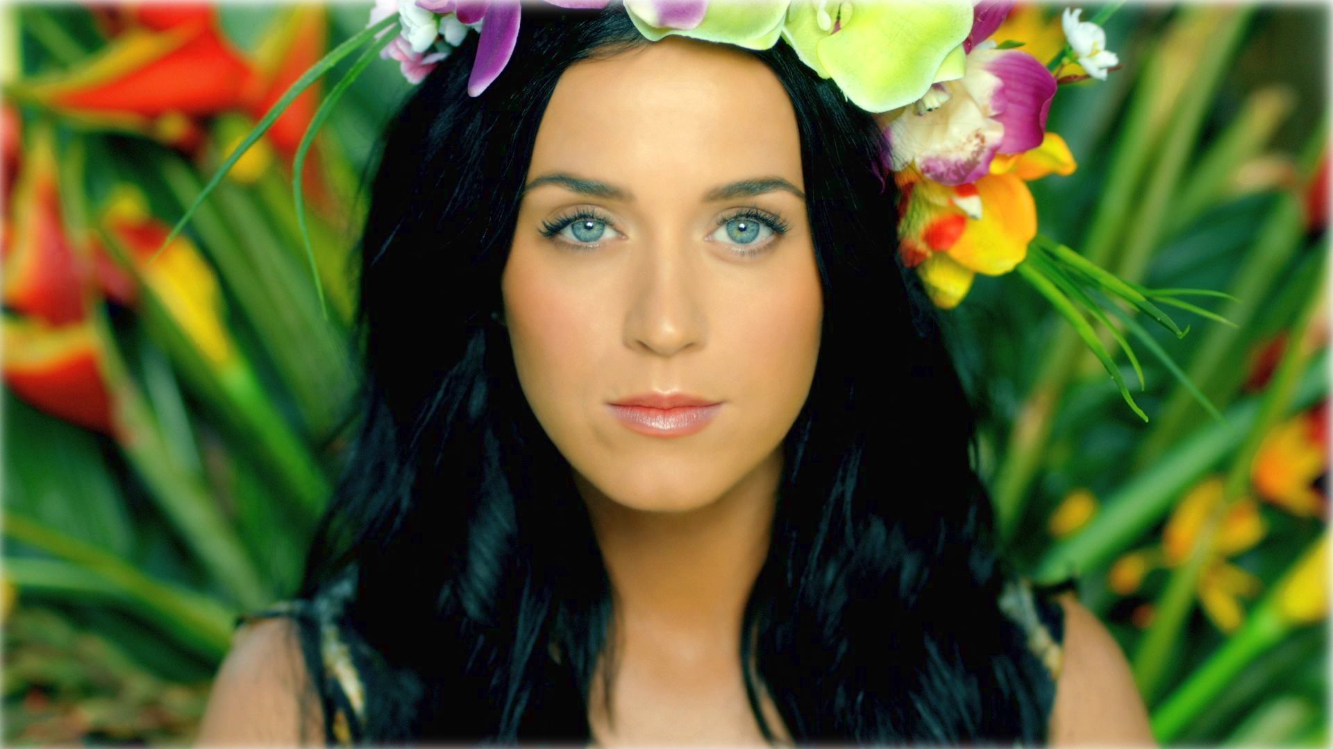 Katy Perry Roar Wallpaper Full HD. Katy perry roar, Katy perry, Katty perry