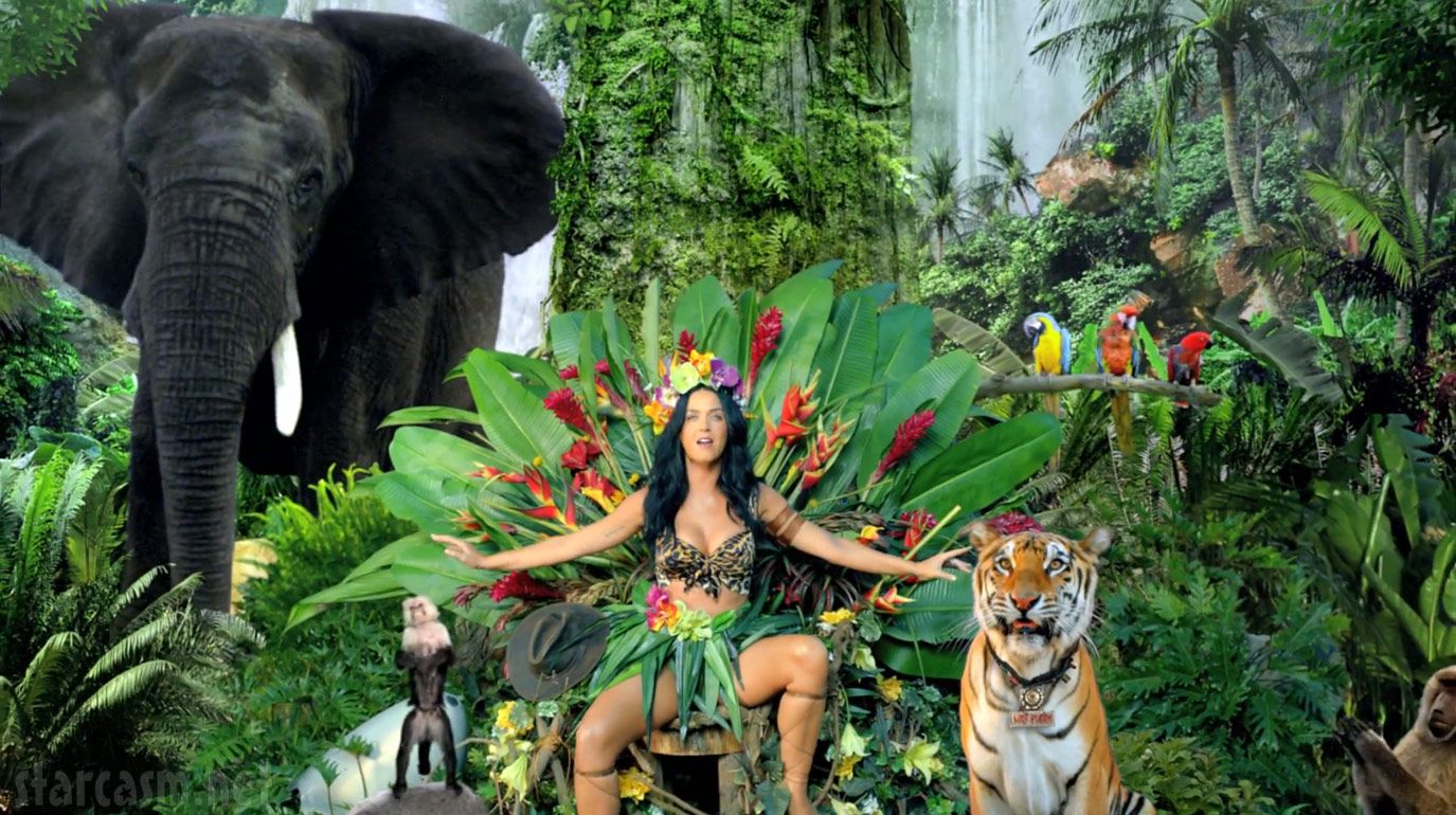 Katy Perry Song Video Tiger Roar HD Wallpaper - Stylish HD…