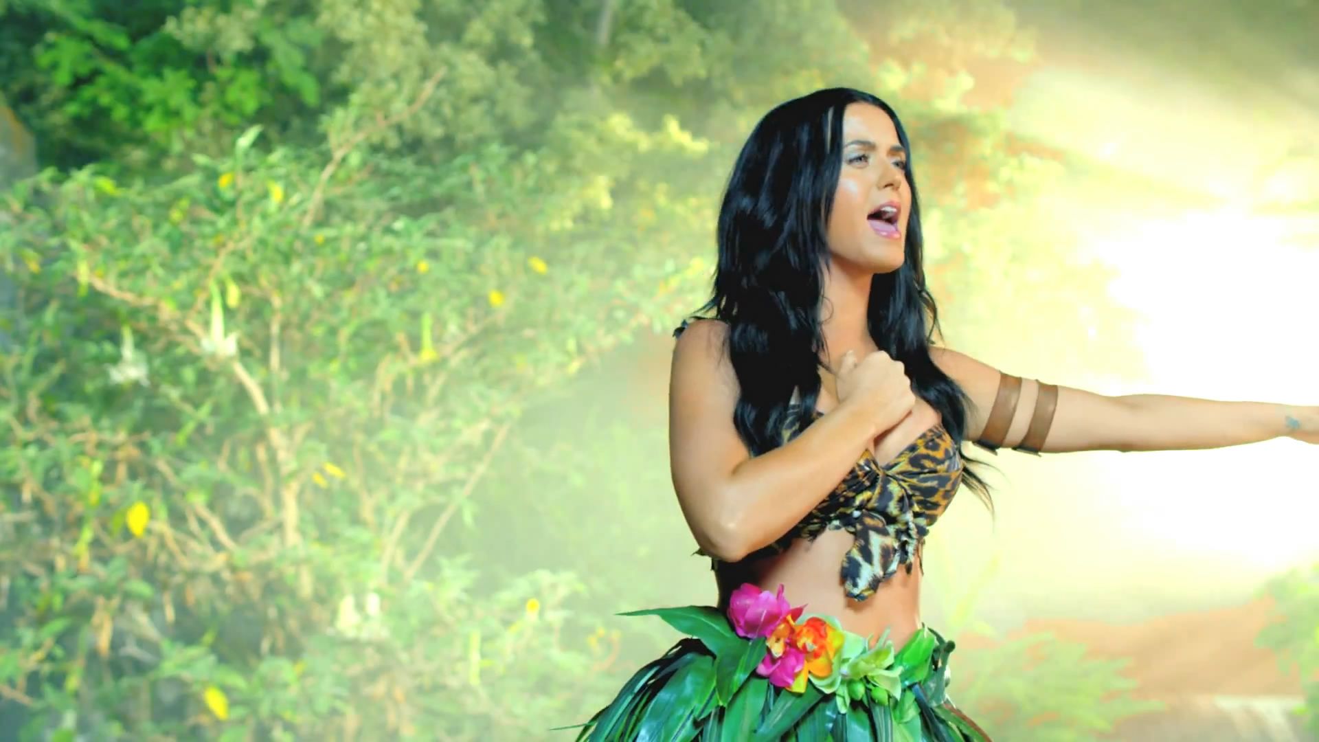 katy perry wallpaper roar