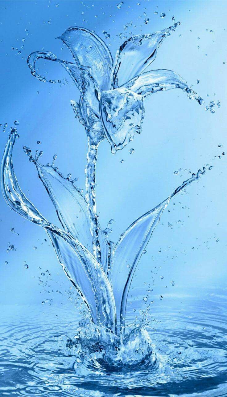 Water Flower. Water art, Water drop photography, Blue art