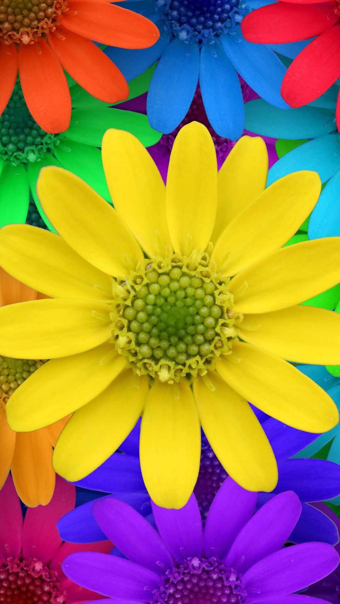 Free download Colorful Flower Wallpaper 123mobileWallpapercom [1080x1920] for your Desktop, Mobile & Tablet. Explore Colorful Flowers Wallpaper. Bright Colorful Wallpaper, Bright Colorful Background Wallpaper, Beautiful Colorful Flowers Wallpaper