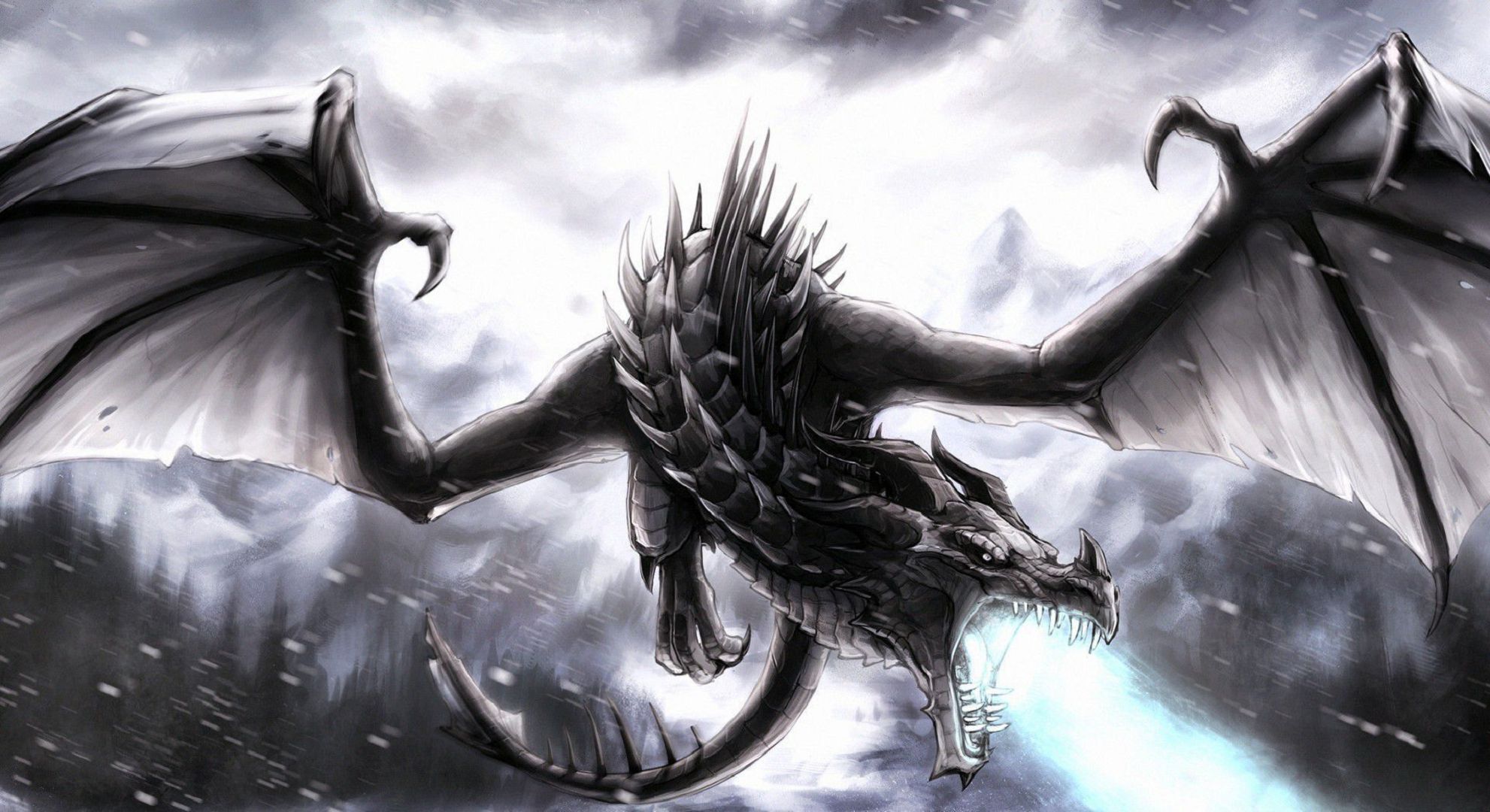 Black Dragon phone, desktop wallpaper, picture, photo, bckground image