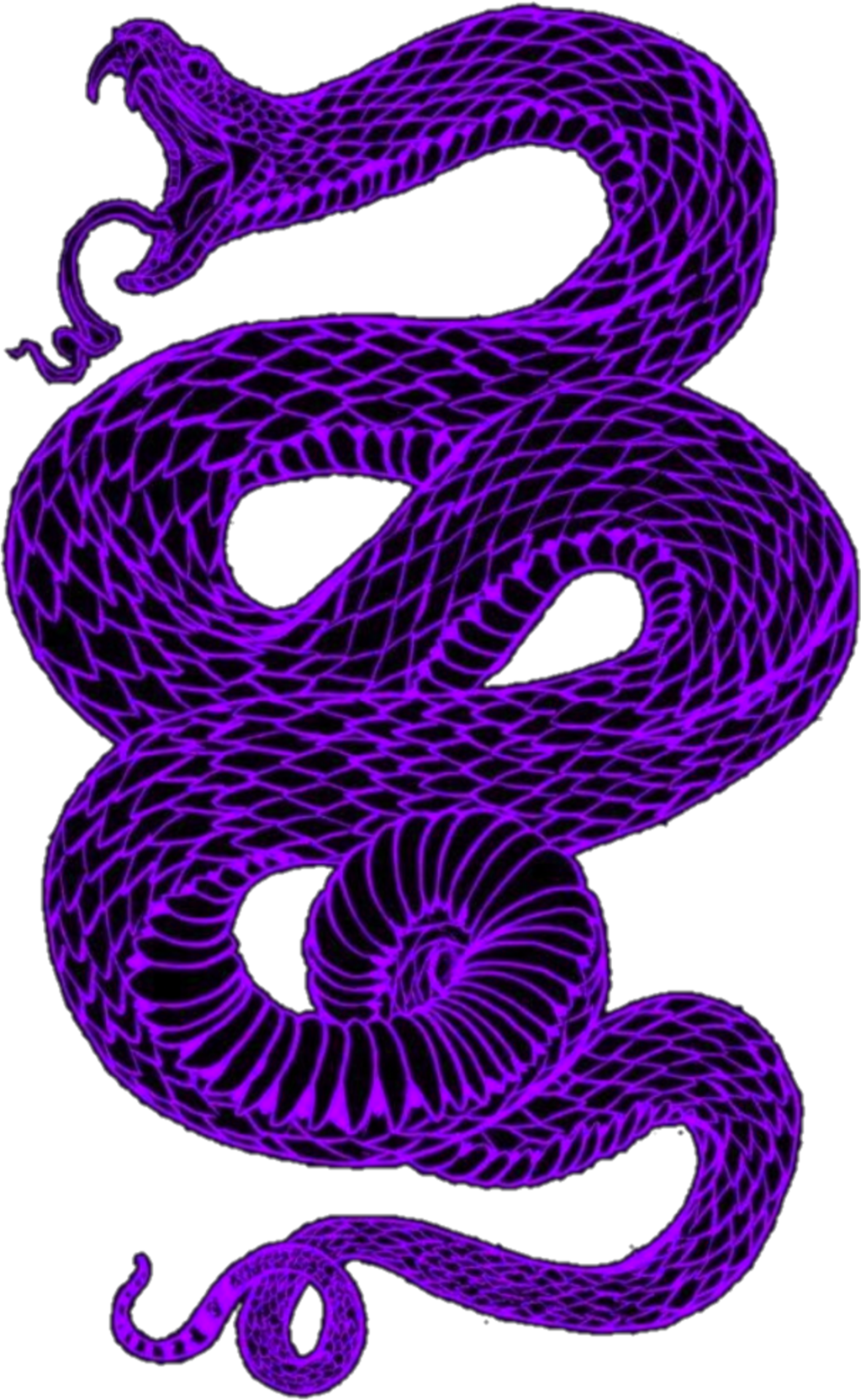 Download #purple #snake #aesthetic #dark #goth #eboy #egirl Snake Wallpaper Phone, HD Png Download