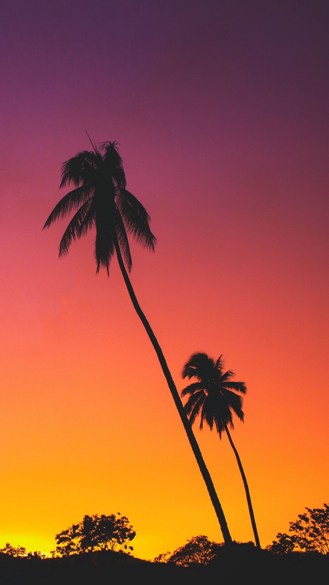 Palms Sunset Silhouettes Wallpaper - [1080x1920]