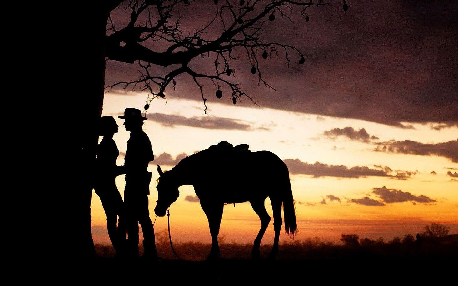 silhouettes film horses australia 1466x916 wallpaper High Quality Wallpaper, High Definition Wallpaper