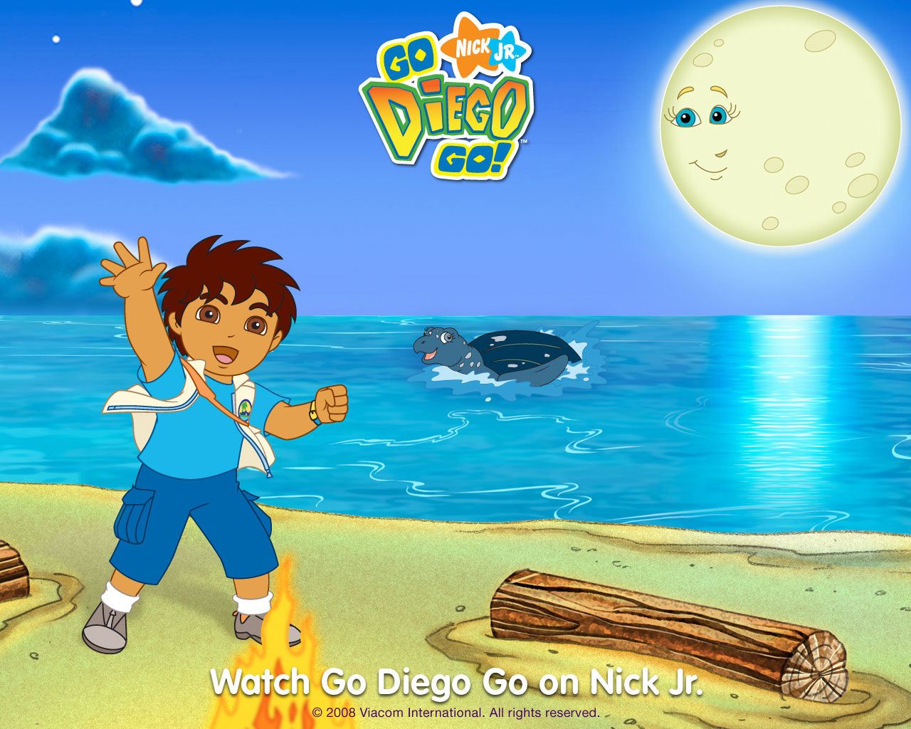 Go Diego Go with a tuga the turtle Wallpaper Diego Go Free Wallpaper Watcher Go Diego Go wallpaper Go Diego Go image and picture