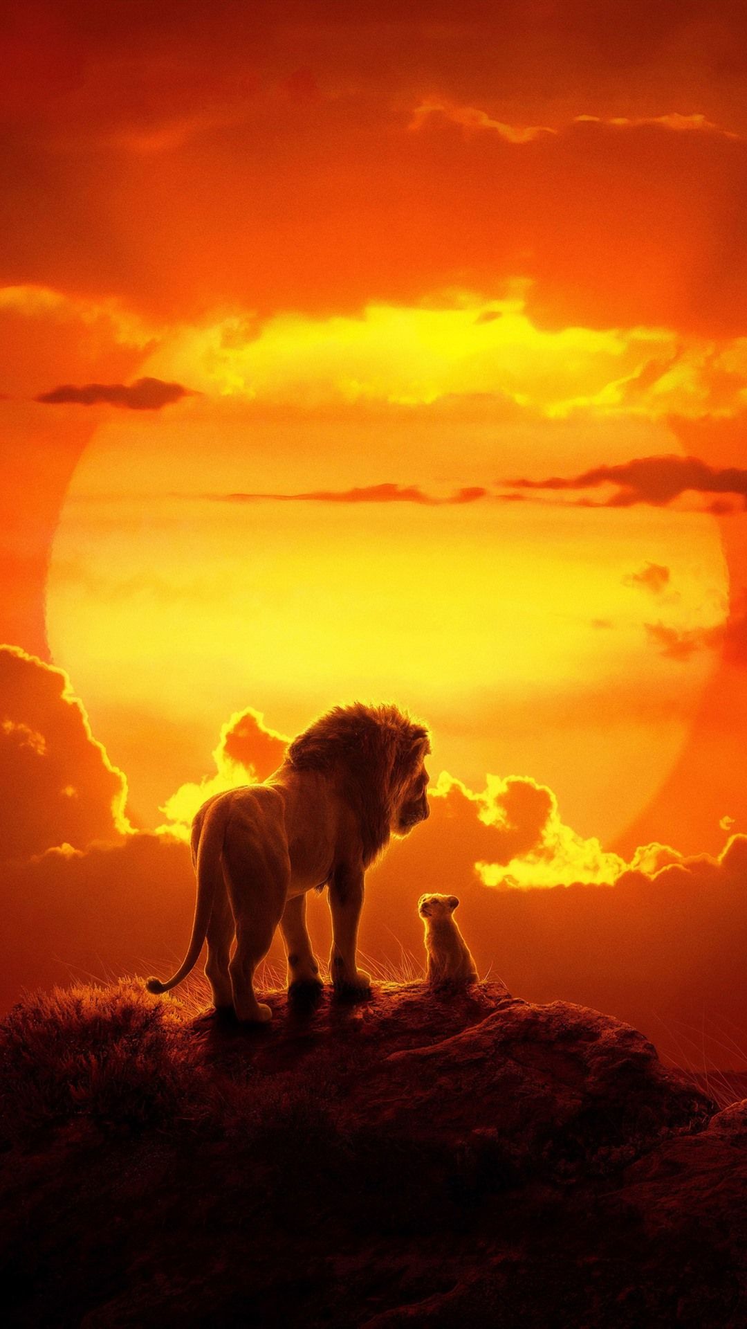 The Lion King 2 1242x2688 IPhone 11 Pro XS Max Wallpaper, Background, Picture, Image
