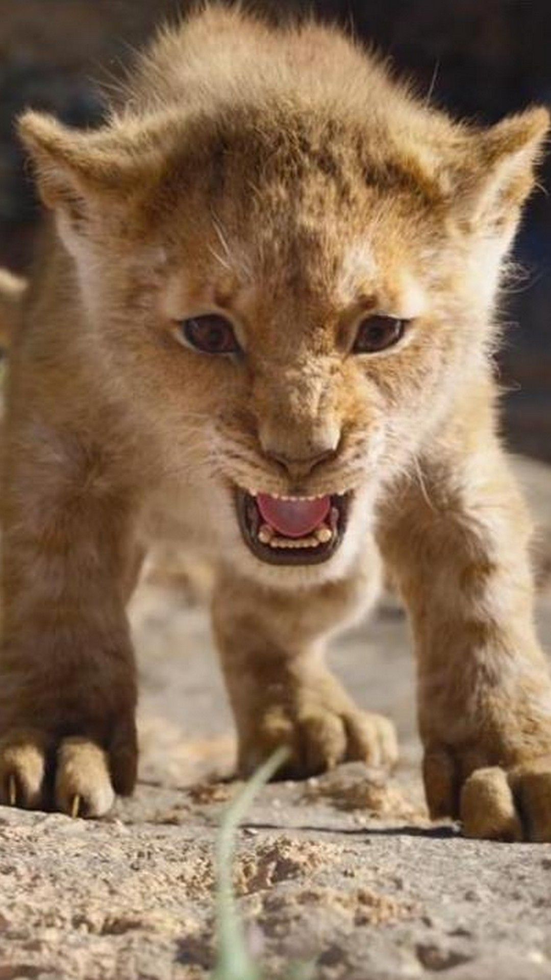 The Lion King iPhone Wallpaper Movie Poster Wallpaper HD