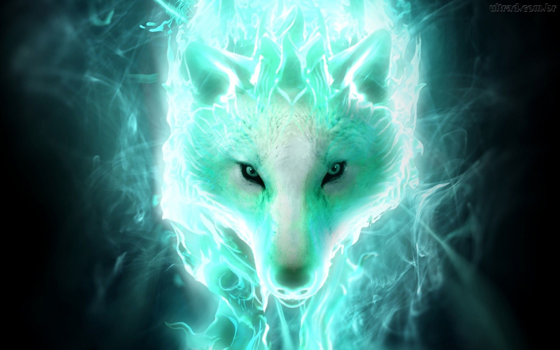 Blue Fire Wolf