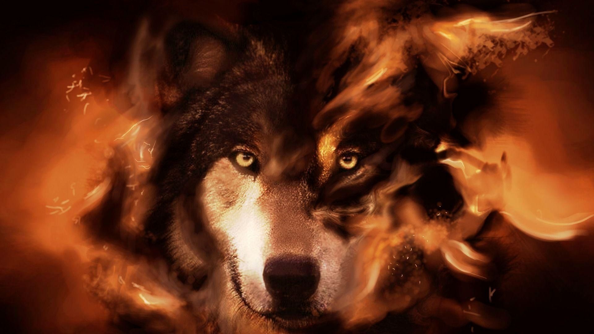 Fire Wolf Wallpaper Inspirational Fantasy Wolf Wallpaper Combination of The Hudson