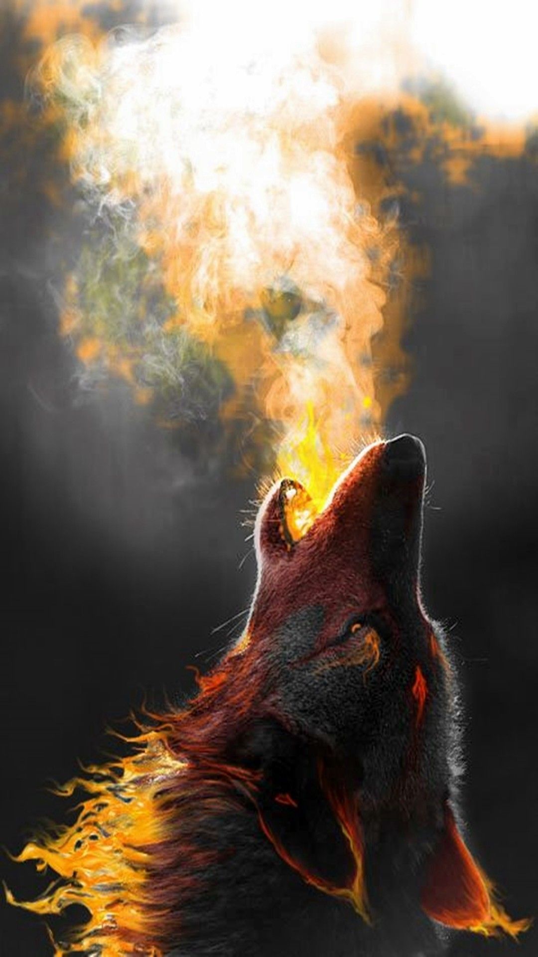 Wolf Wallpaper 1080p Hupages Download iPhone Wallpaper. Wolf wallpaper, Wolf art, Wolf spirit
