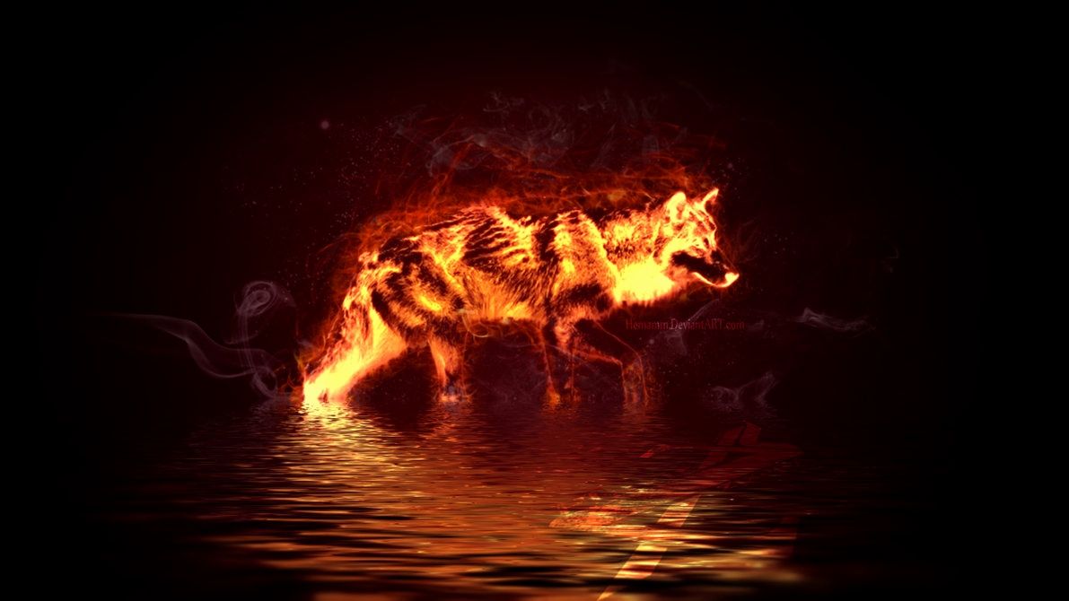 Fire Wolf Wallpaper Lovely Fire Wolf Vs Ice Wolf Wallpaper Inspiration of The Hudson