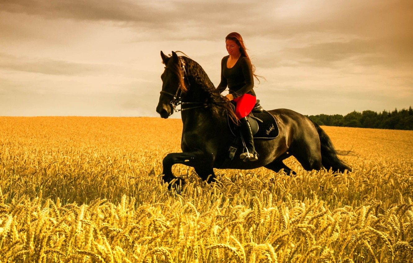 Wallpaper girl, horse, wheat field, riding, farmland image for desktop, section настроения