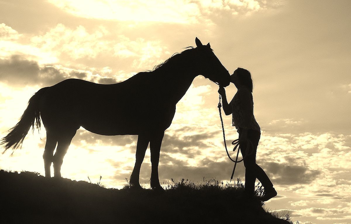 silhouette girl and horse on cliff top. Horse silhouette, Horses, Horse wallpaper