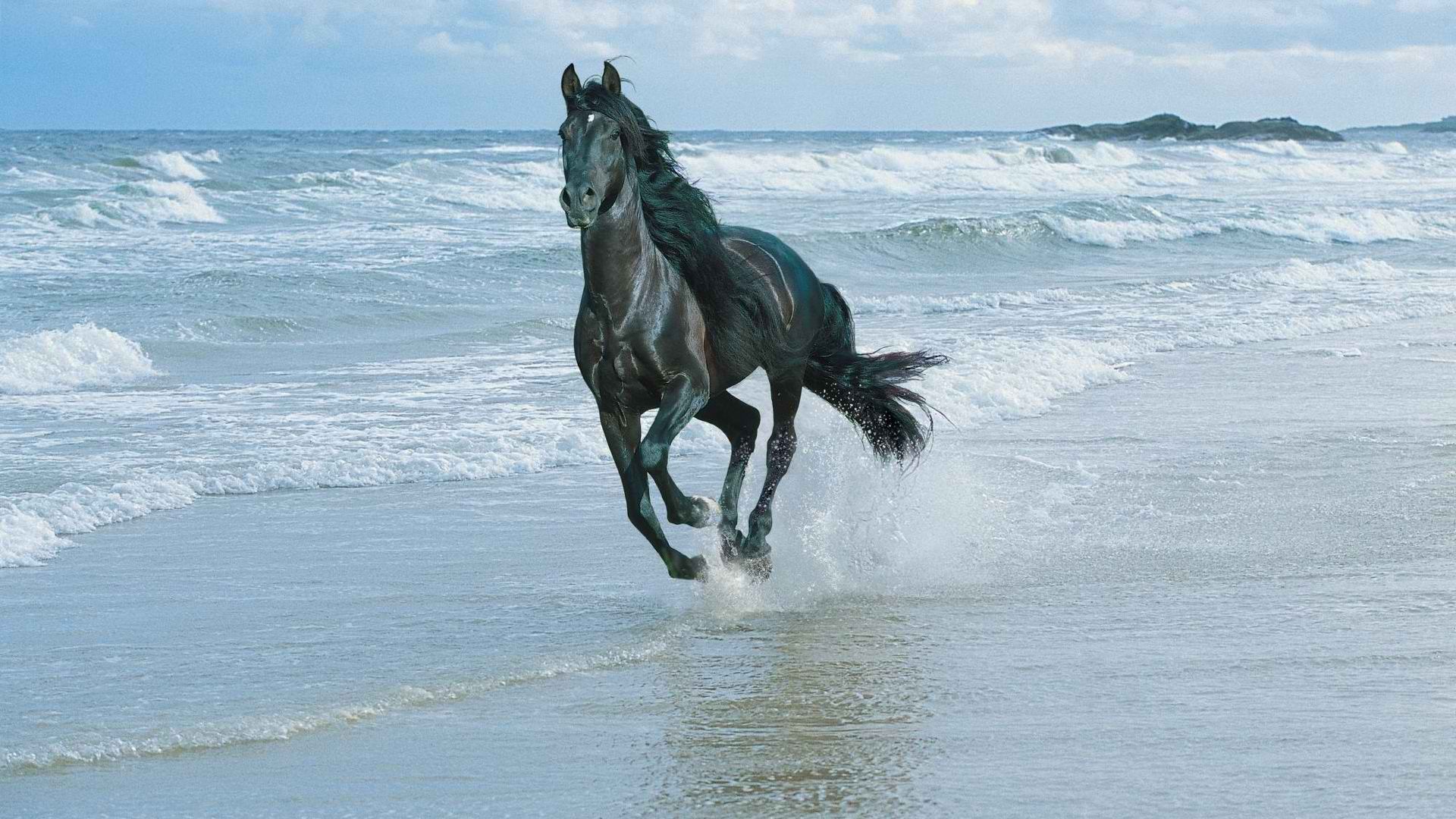 beach Desktop wallpaper 1920x1080