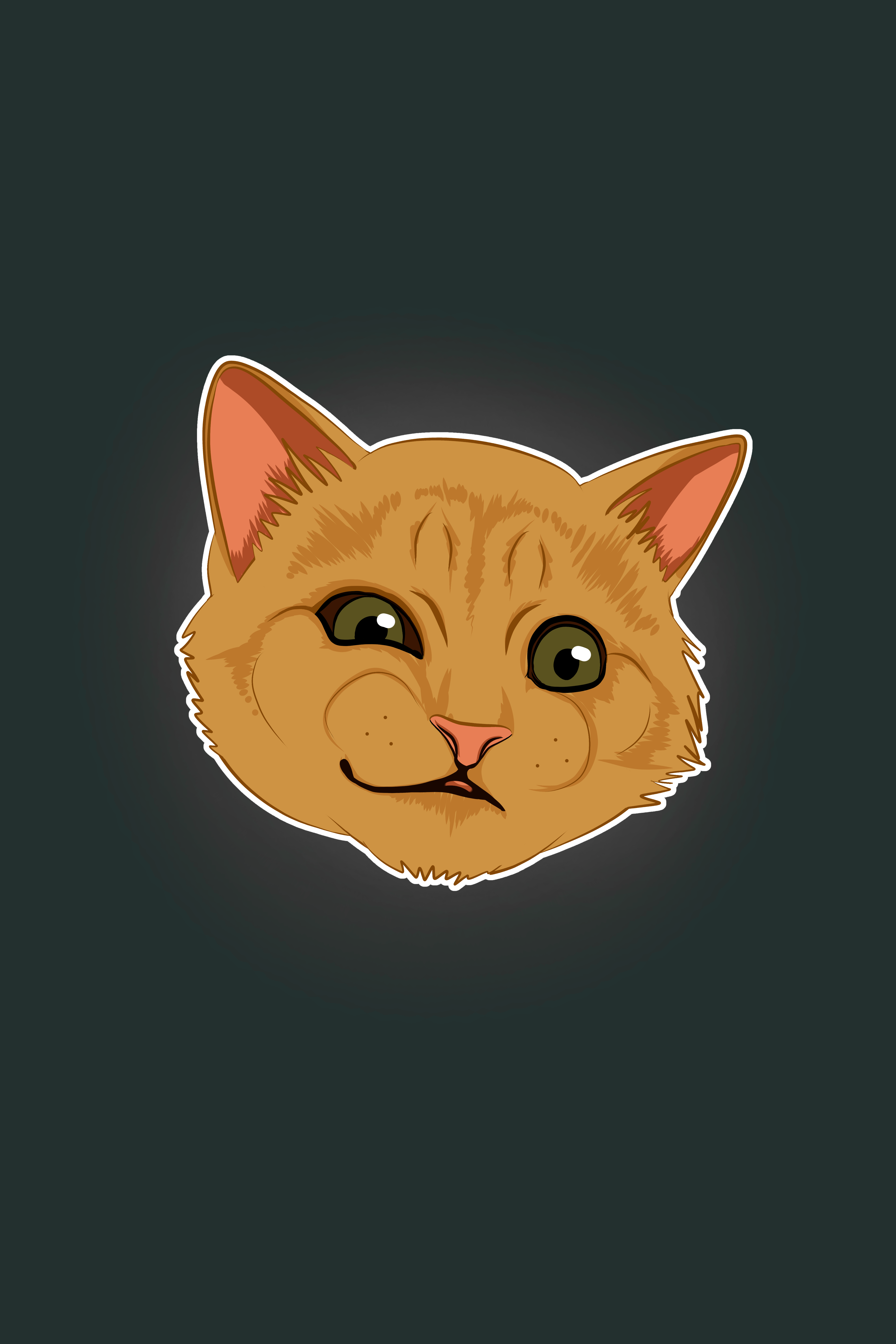 Wallpaper Cat, Emotions, Funny, Art, Meme - Прикольные Обои На Айфон, Download Wallpaper