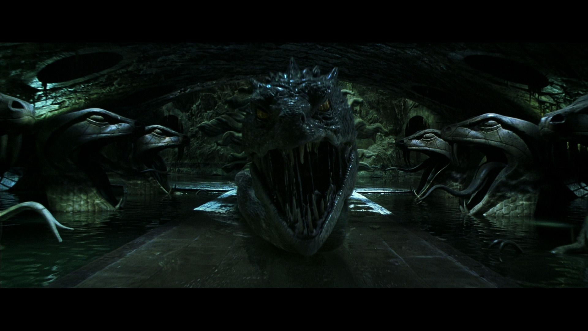 Harry Potter and the Chamber of Secrets (2002) Screencaps.com. Harry potter films, Chamber of secrets, Basilisk harry potter