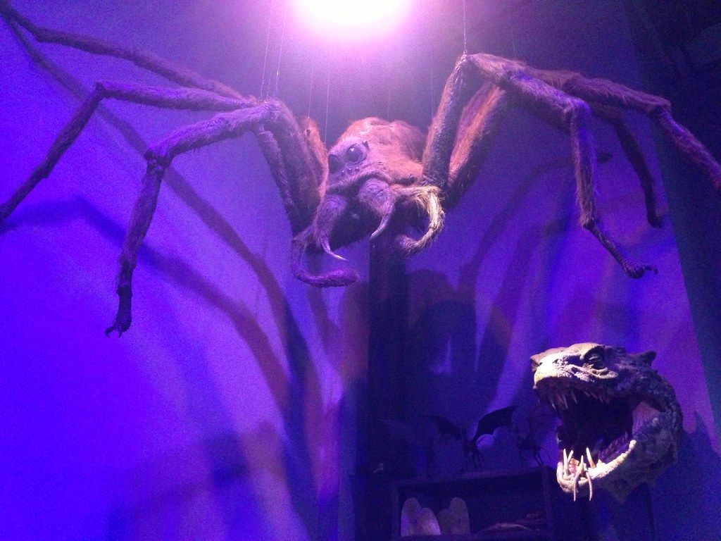 Harry Potter Warner Bros. Studio Tour: Creature Effects