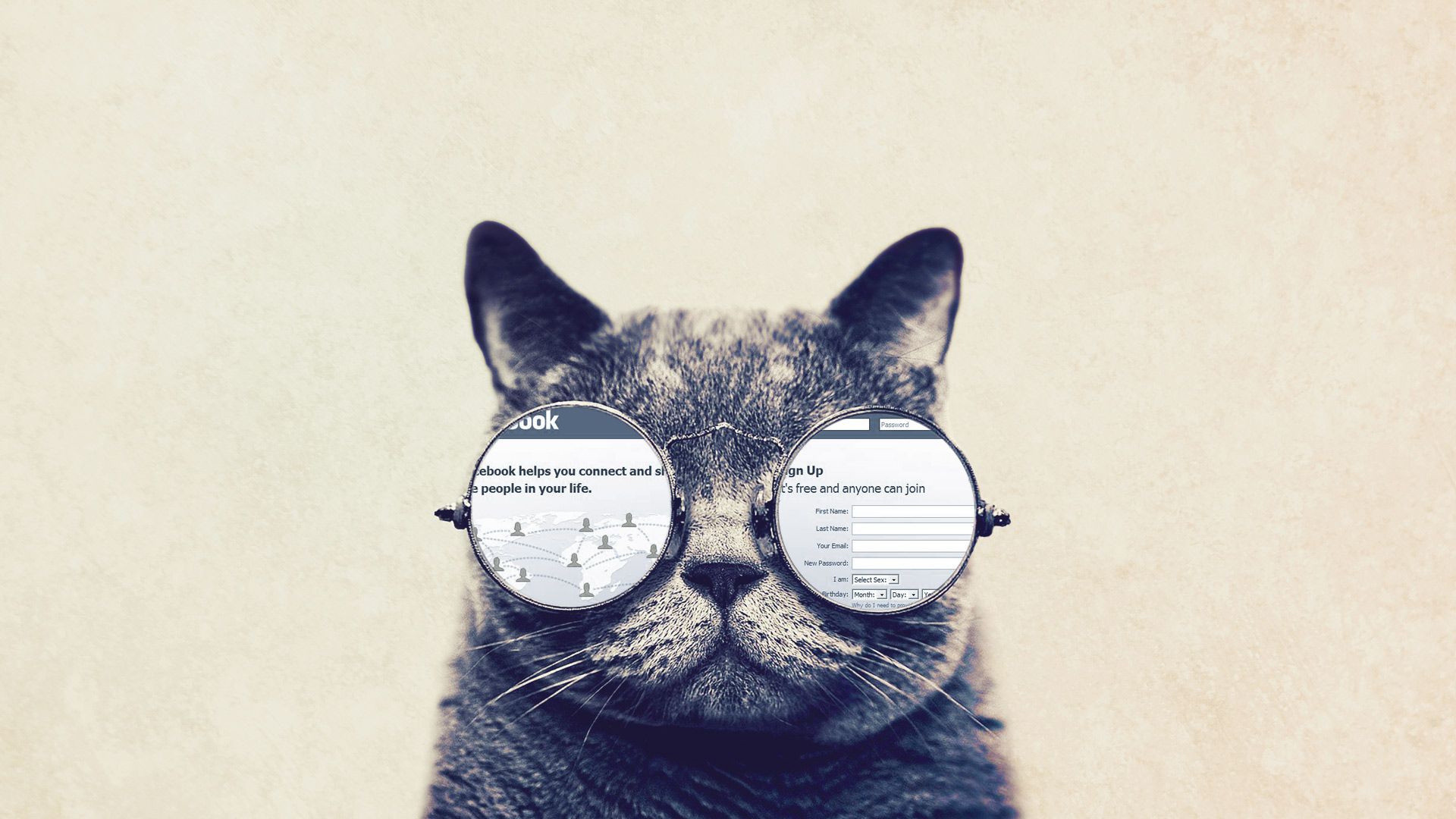 Funny Cat With Big Glasses HD Wallpaperx1080