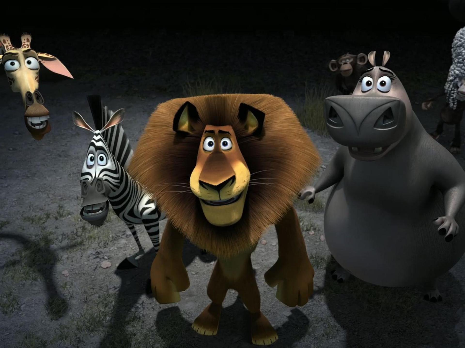 Funny Animals Animation 17 HD Wallpaper