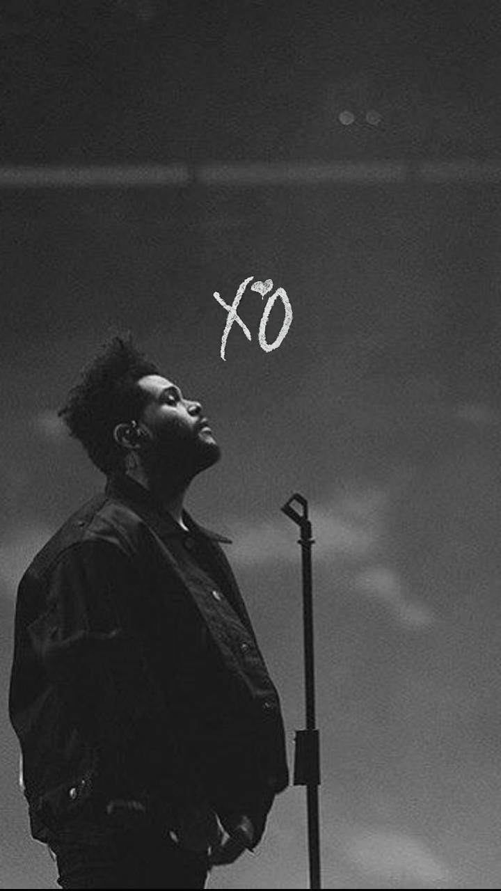 XO Weeknd wallpaper by wxlf20  Download on ZEDGE  fa34