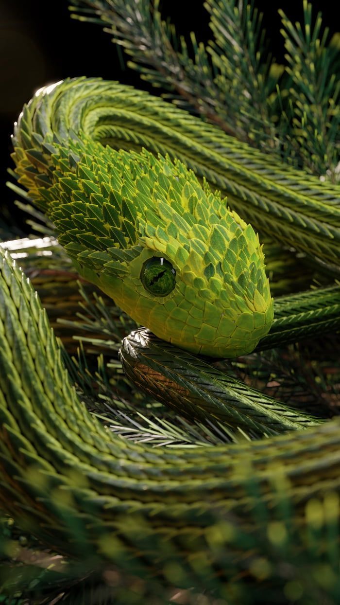 Slithering Emerald Snake. African bush viper, Snake wallpaper, Snake