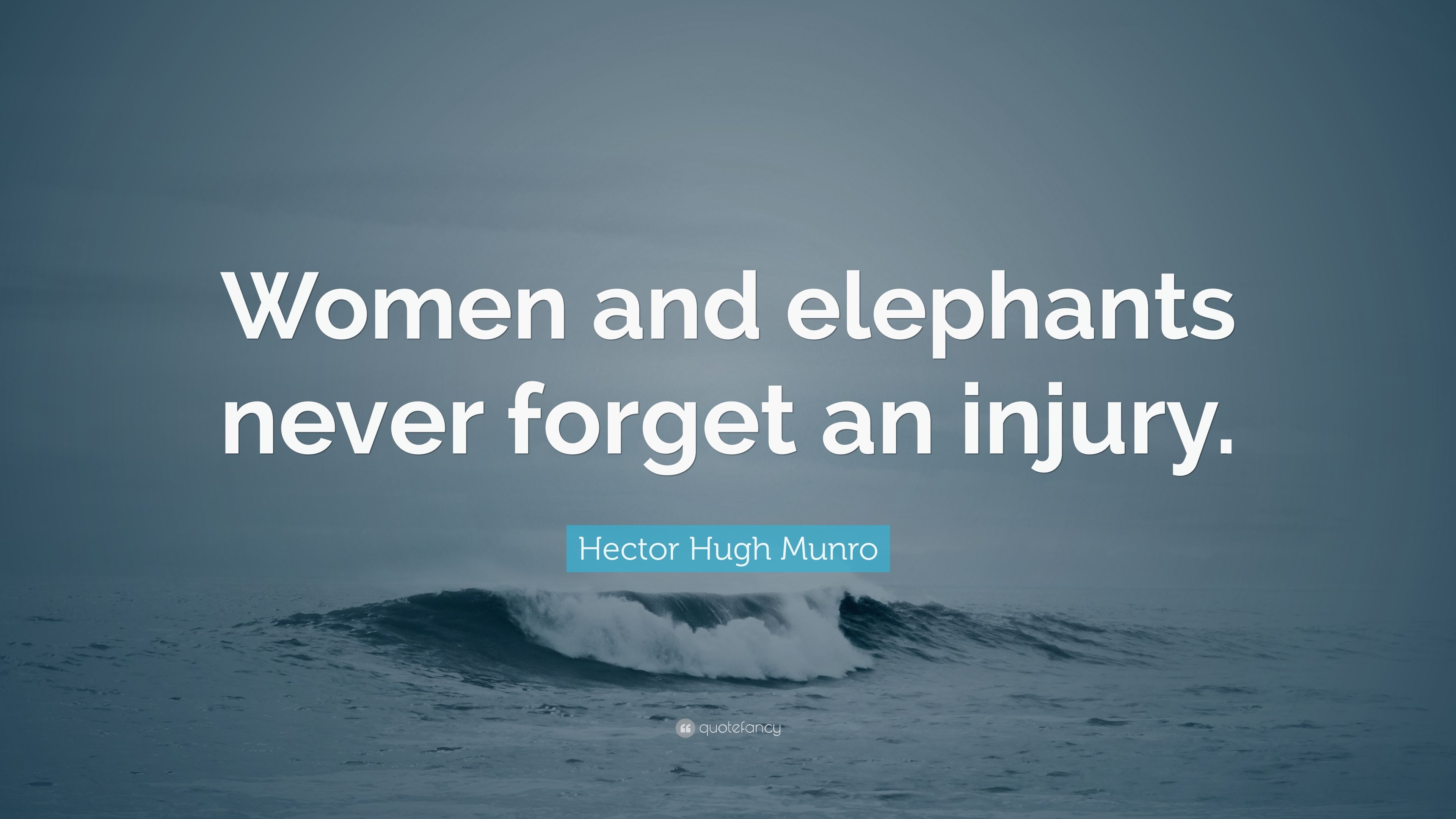 Hector Hugh Munro Quote: “Women and elephants never forget an injury.” (7 wallpaper)