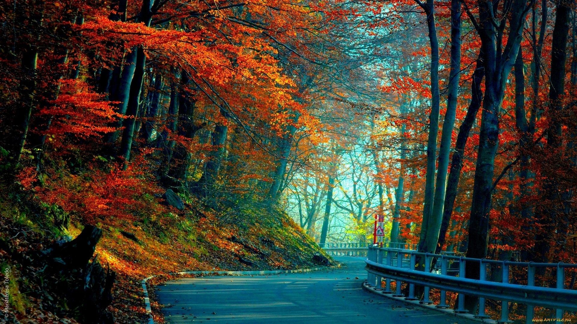 Full HD Backgrounds Wallpaper Cave