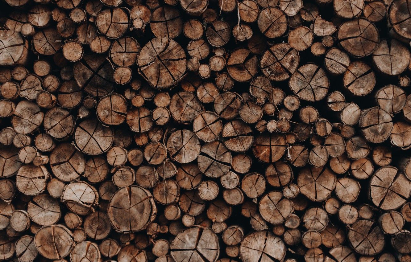 Wallpaper Log, Background, A lot, Logs, Wood, Timber image for desktop, section текстуры