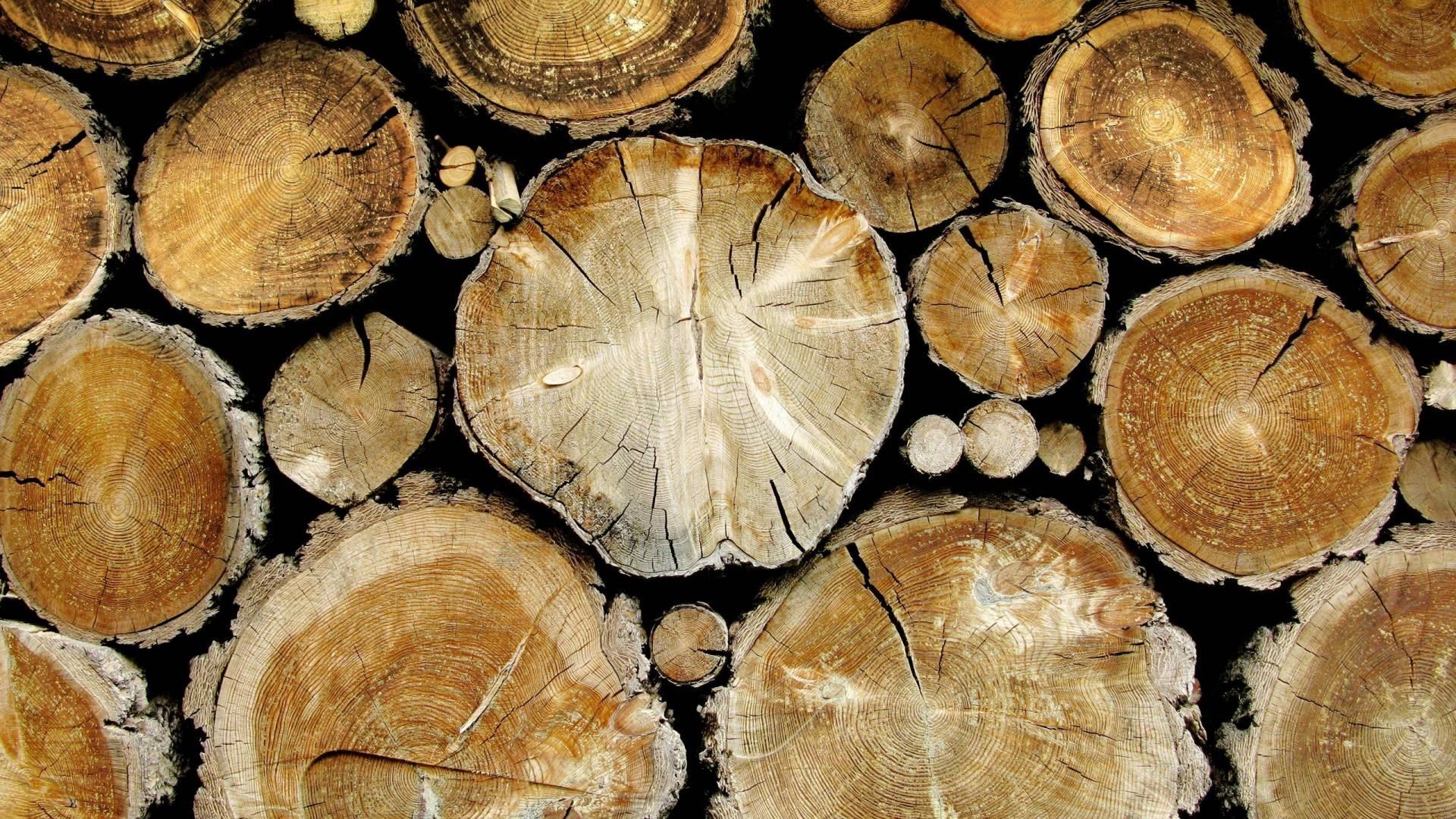 free download wood logs wallpaper HD. Wood texture, Texture, Wood