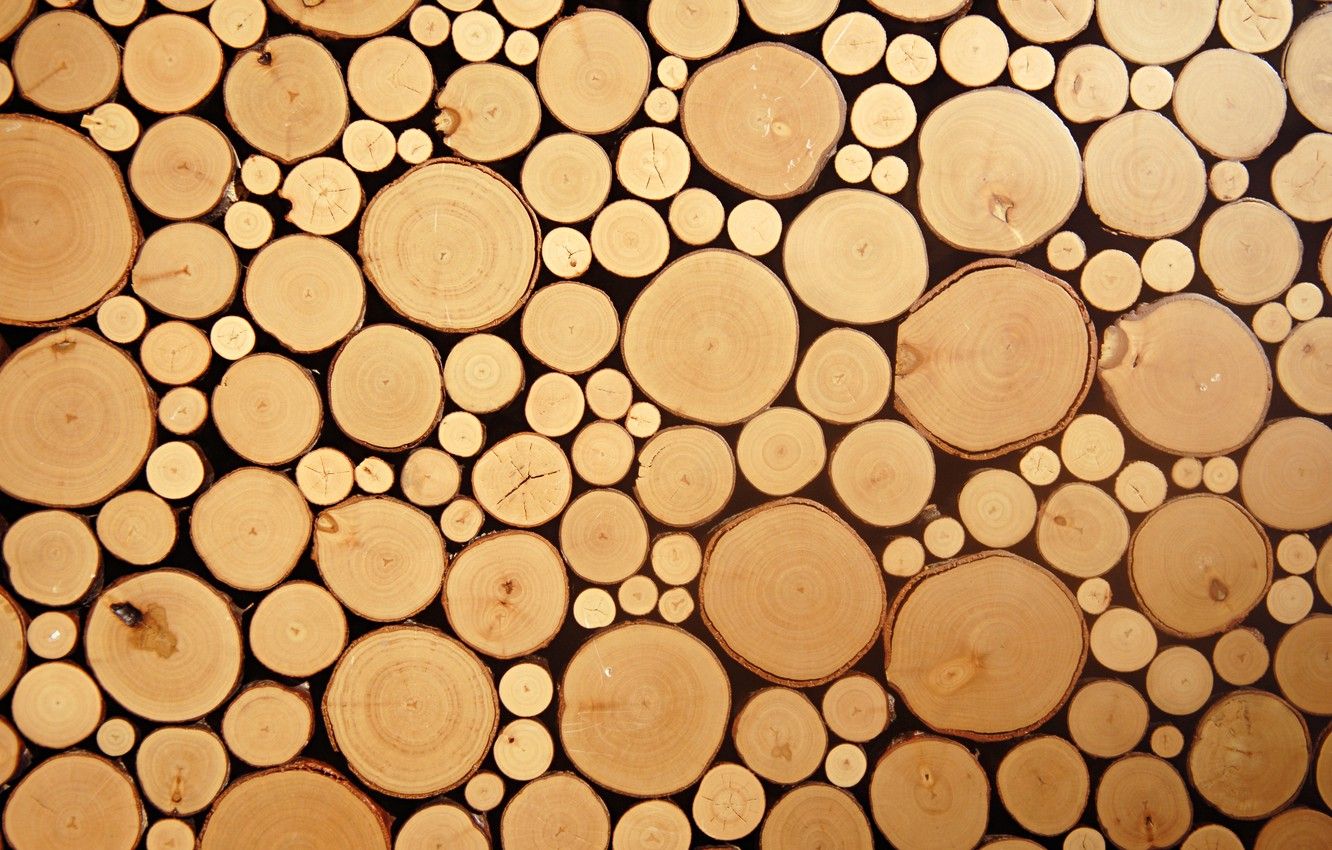 Wallpaper wood, circles, cut logs image for desktop, section текстуры