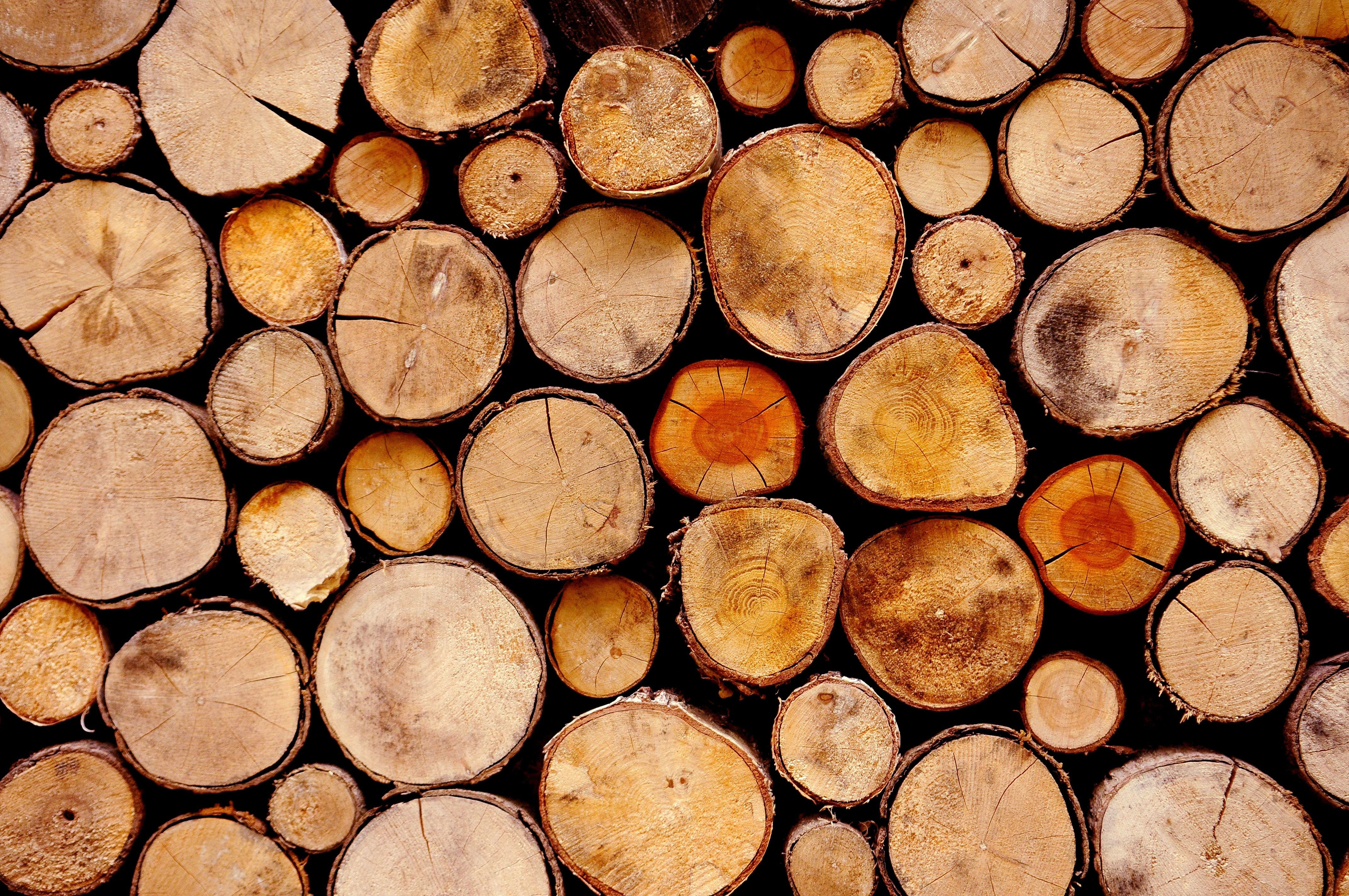 wood log lot free image