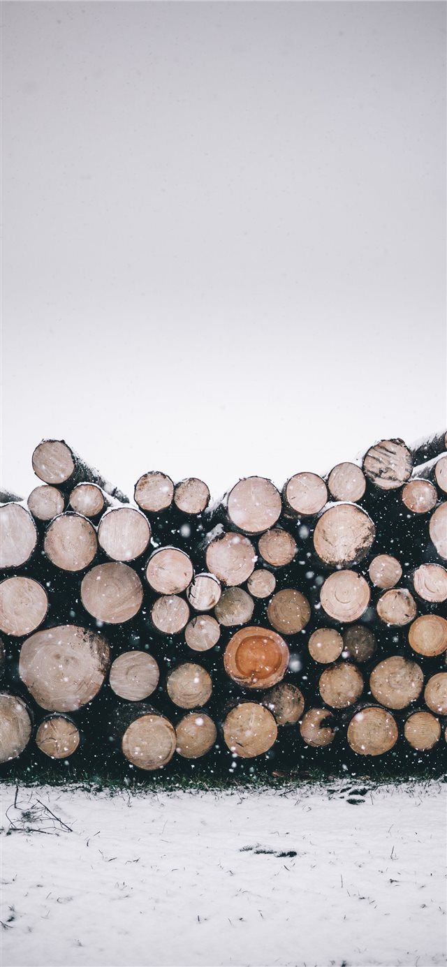 pile of wood logs iPhone 11 Wallpaper Free Download