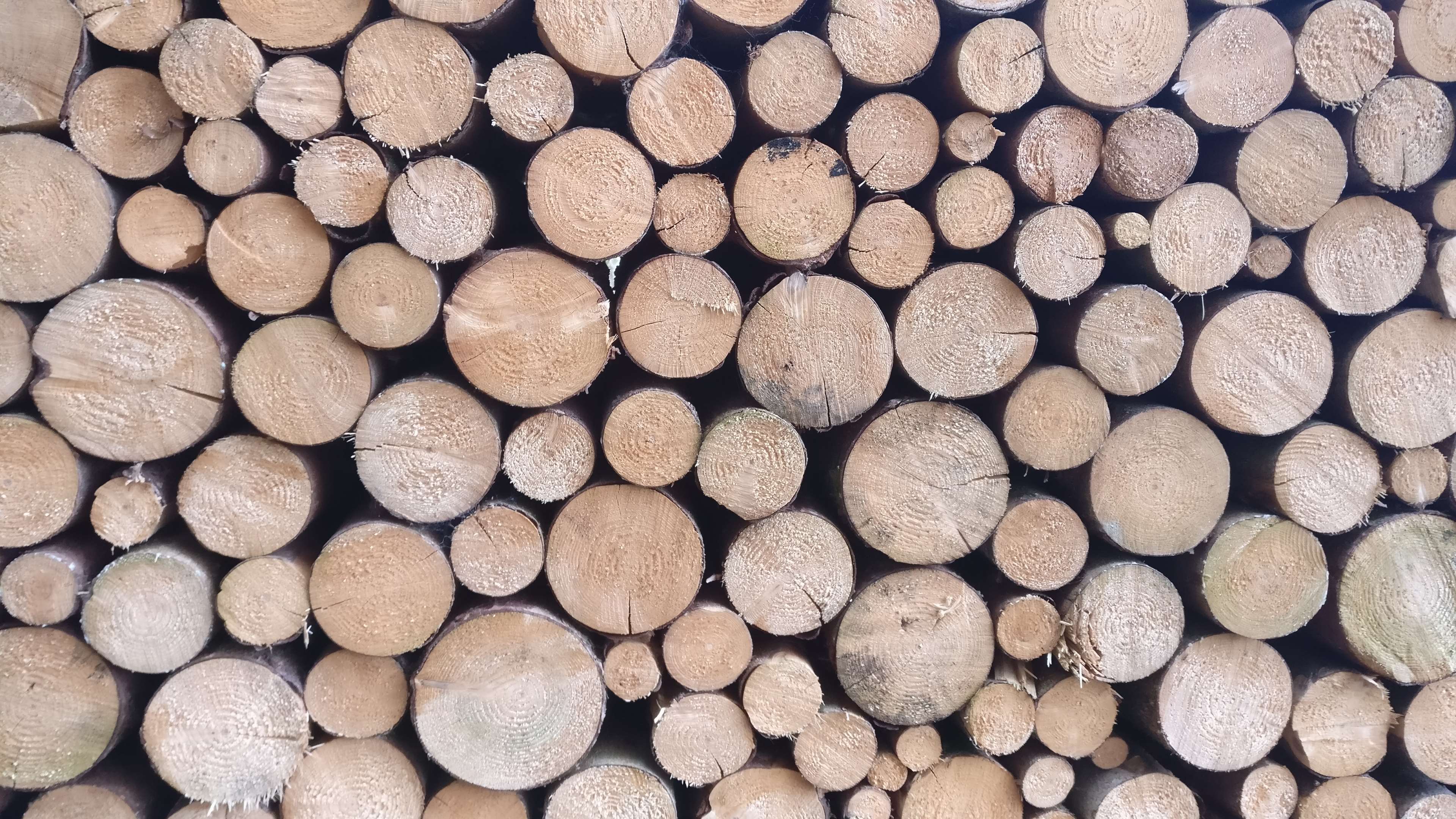Chopped Wood, Wood, Wood Logs 4k Wallpaper And Background, Download Wallpaper