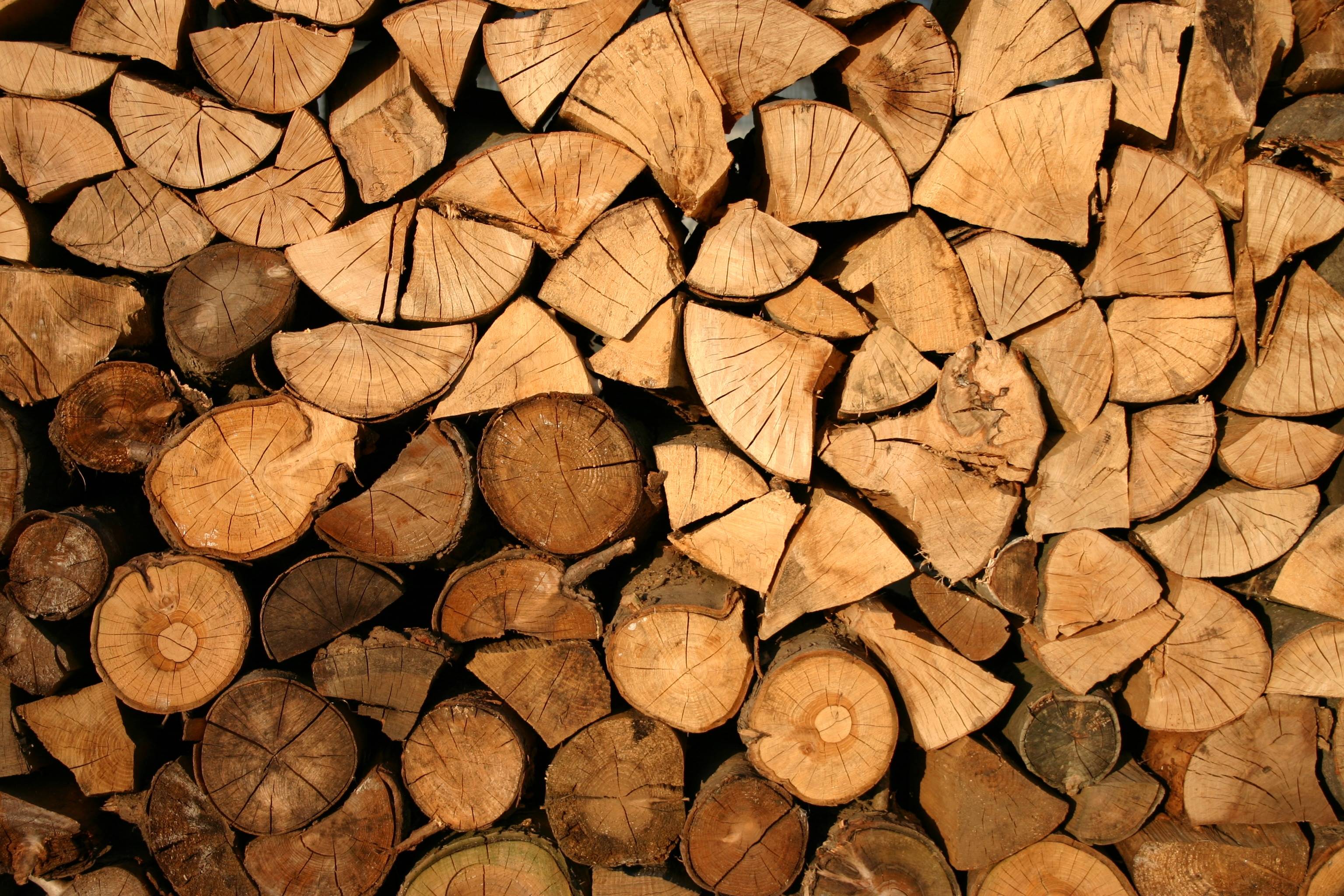 #forestry, #cut, #logs, #logs, #abstract, #firewood, #wooden. Mocah.org HD Wallpaper